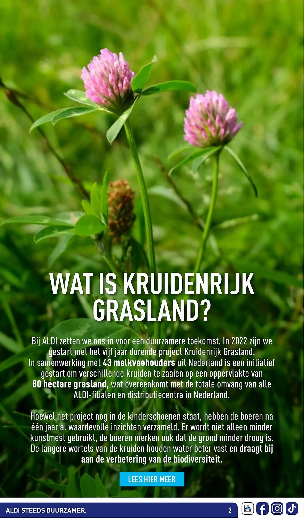 ALDI Kruidenrijk Grasland folder van 18 september tot 28 oktober 2023 - Folder pagina 2