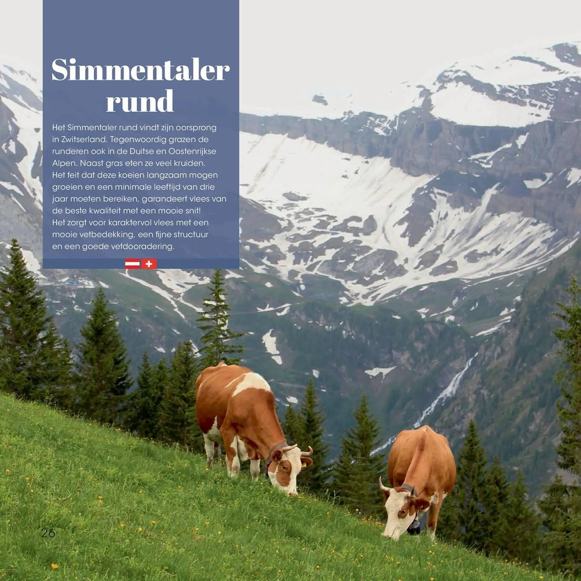 Hanos folder van 5 februari tot 3 maart 2024 - folder pagina 26