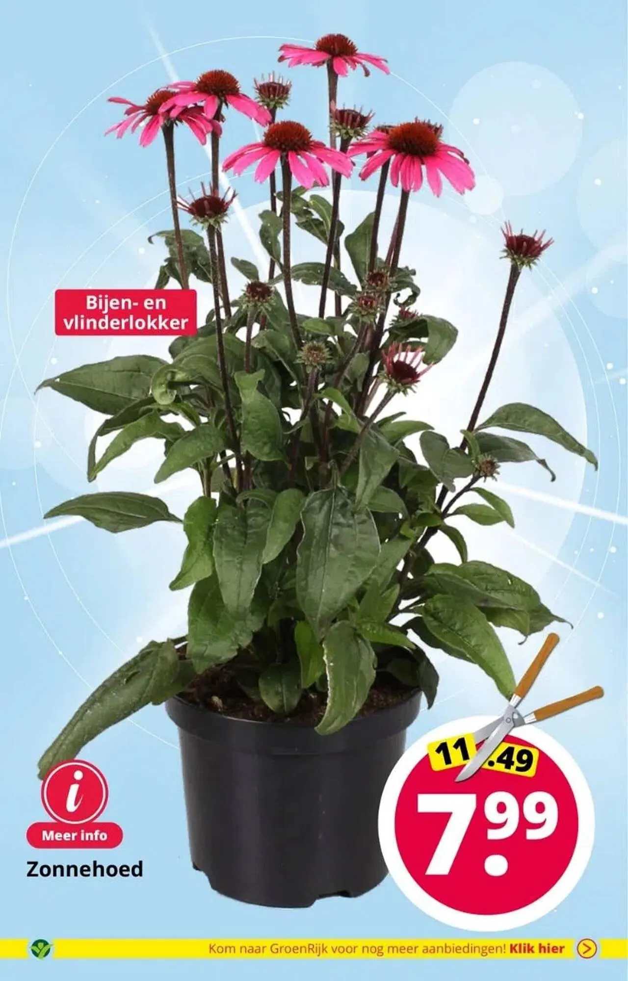 GroenRijk folder van 6 augustus tot 15 augustus 2023 - Folder pagina 3