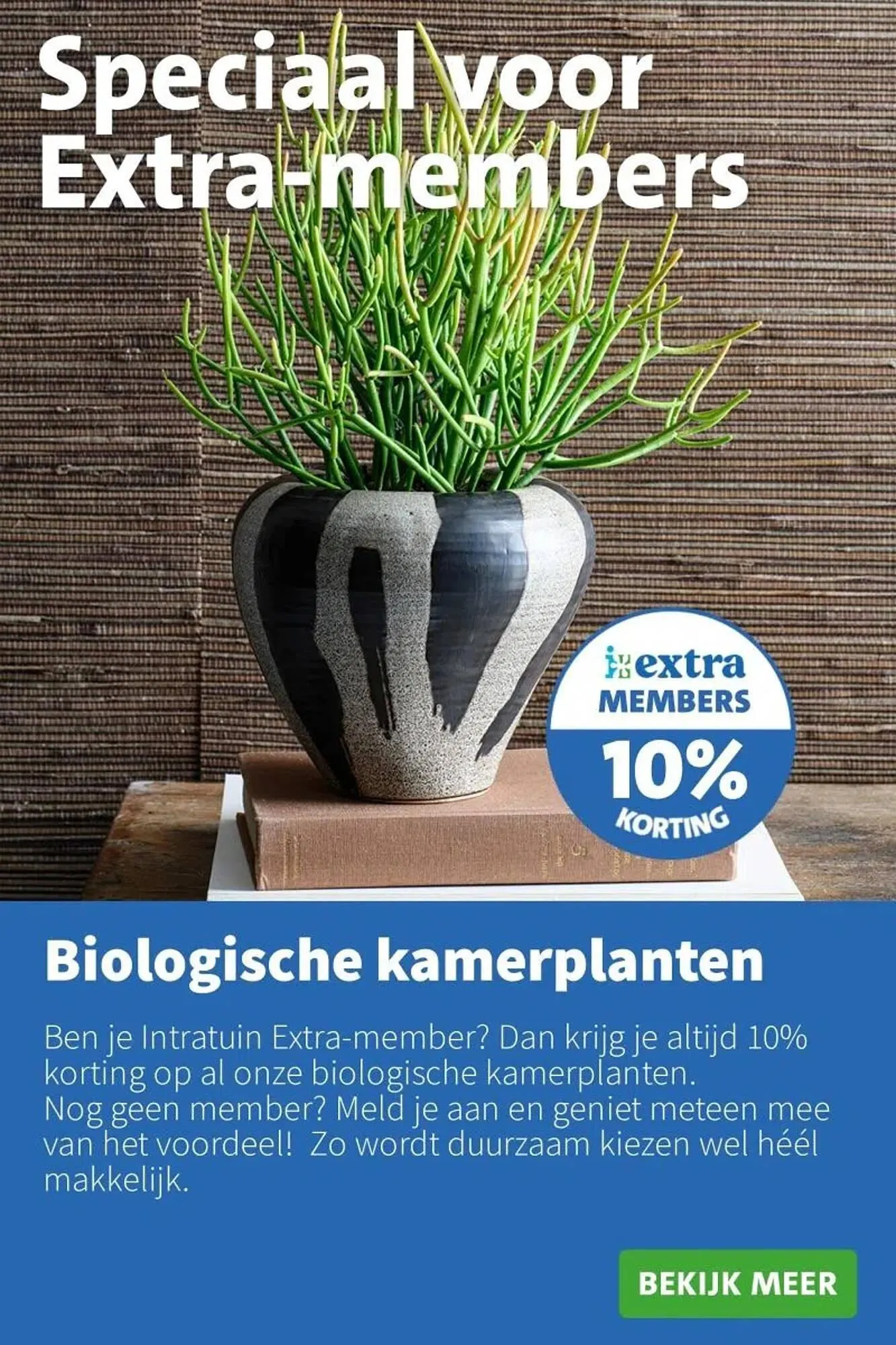 Intratuin folder van 26 januari tot 1 februari 2026 - Folder pagina 12