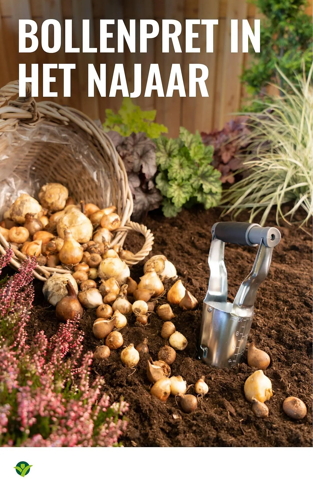 GroenRijk folder van 26 augustus tot 21 december 2025 - Folder pagina 10