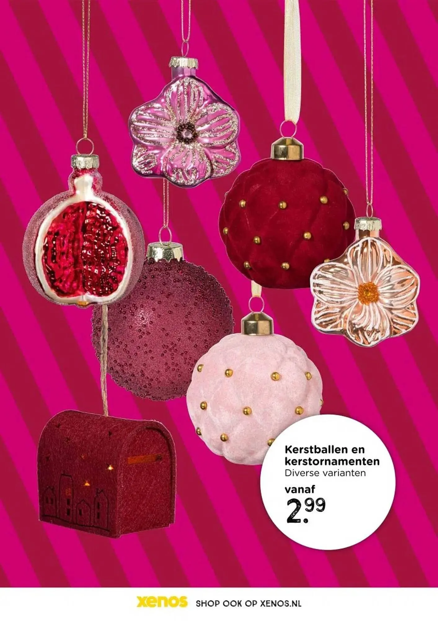 Xenos folder van 26 oktober tot 1 januari 2026 - Folder pagina 37