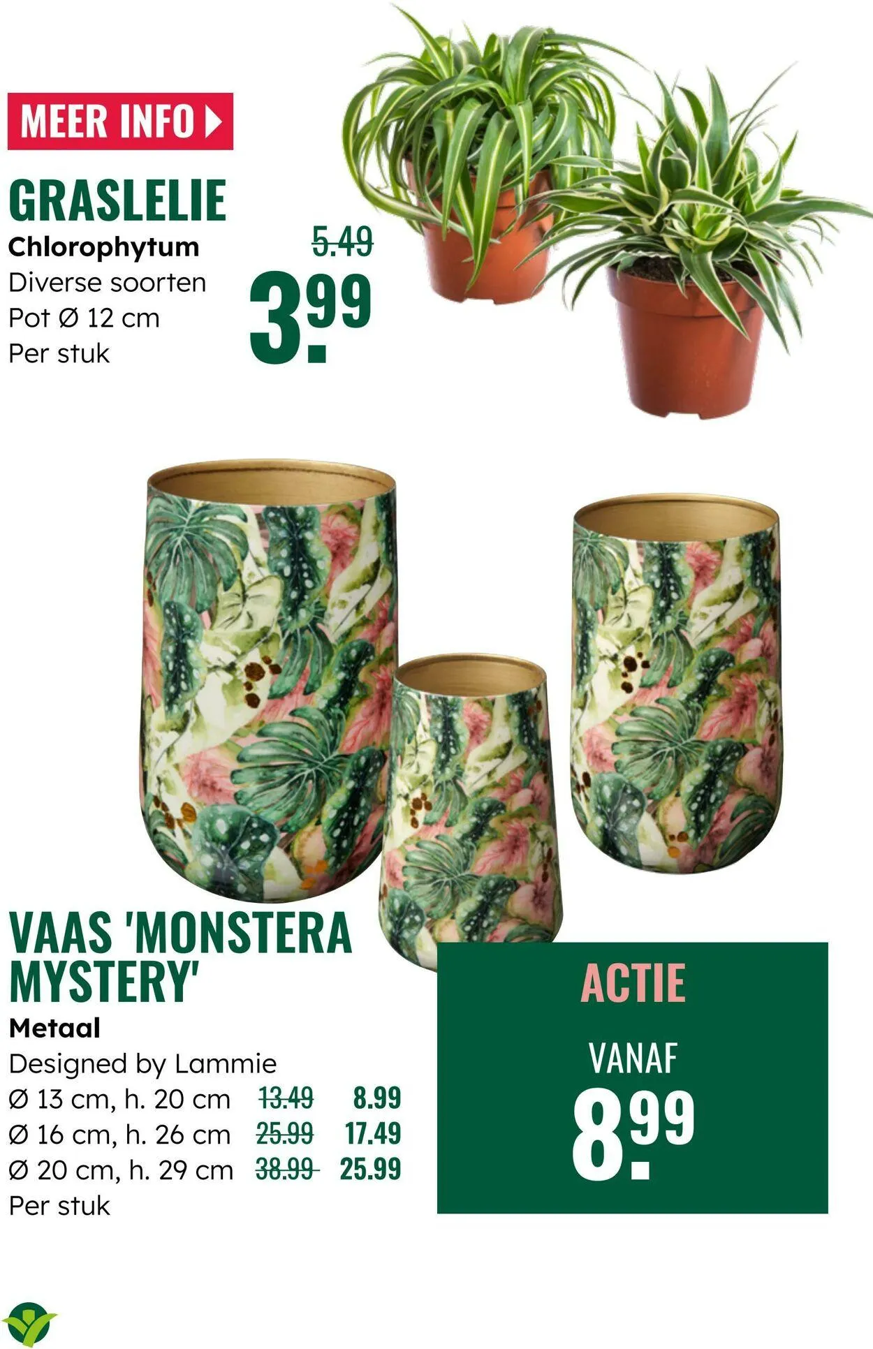 GroenRijk Actuele folder van 5 augustus tot 19 augustus 2025 - Folder pagina 27