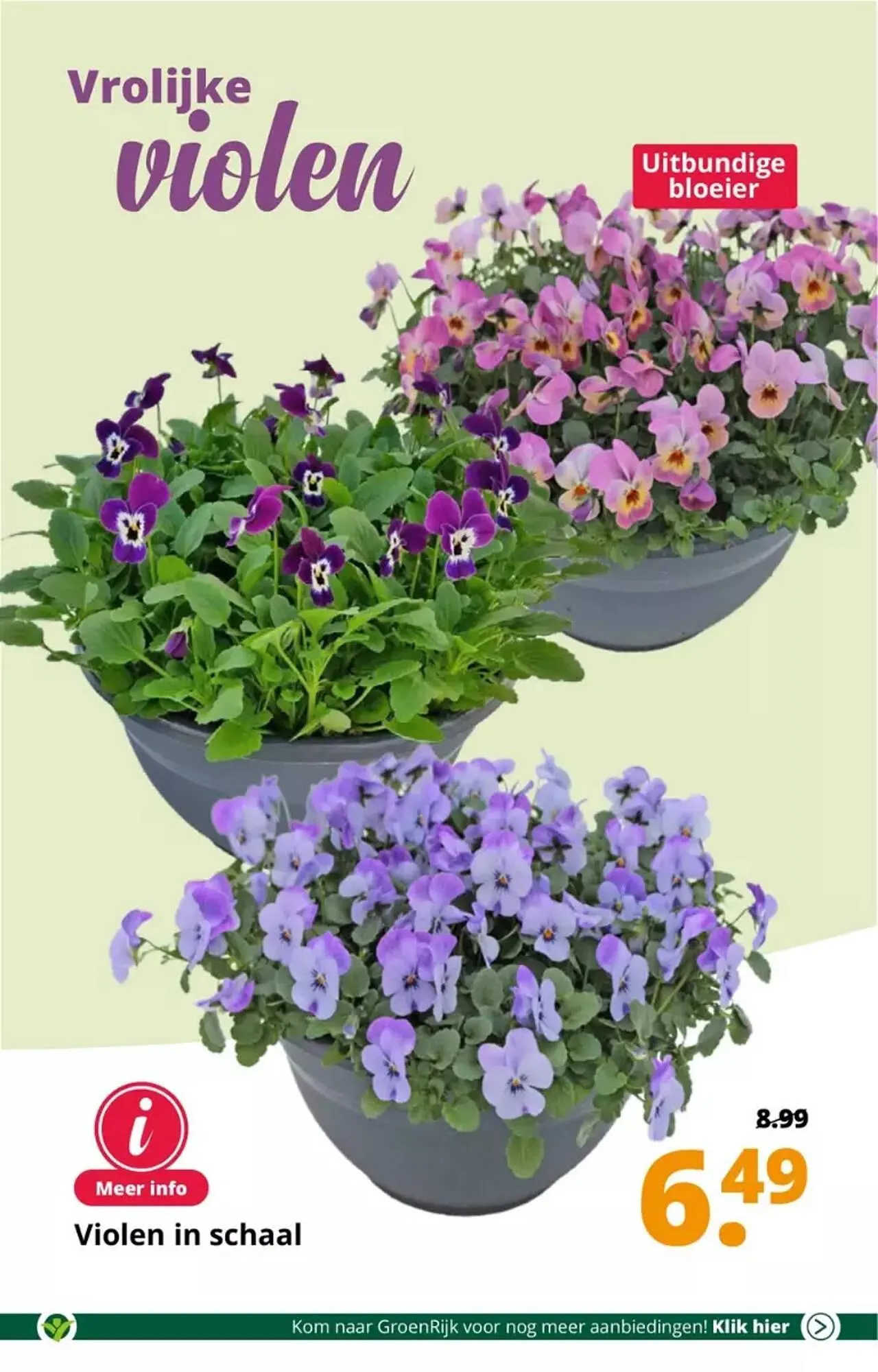 GroenRijk folder van 30 augustus tot 5 september 2023 - Folder pagina 7