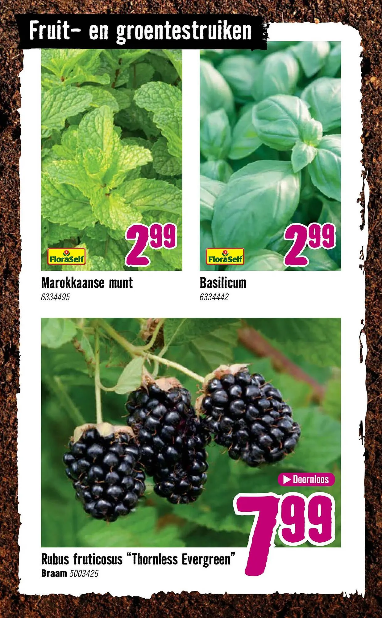 Hornbach folder van 6 april tot 3 mei 2026 - Folder pagina 26