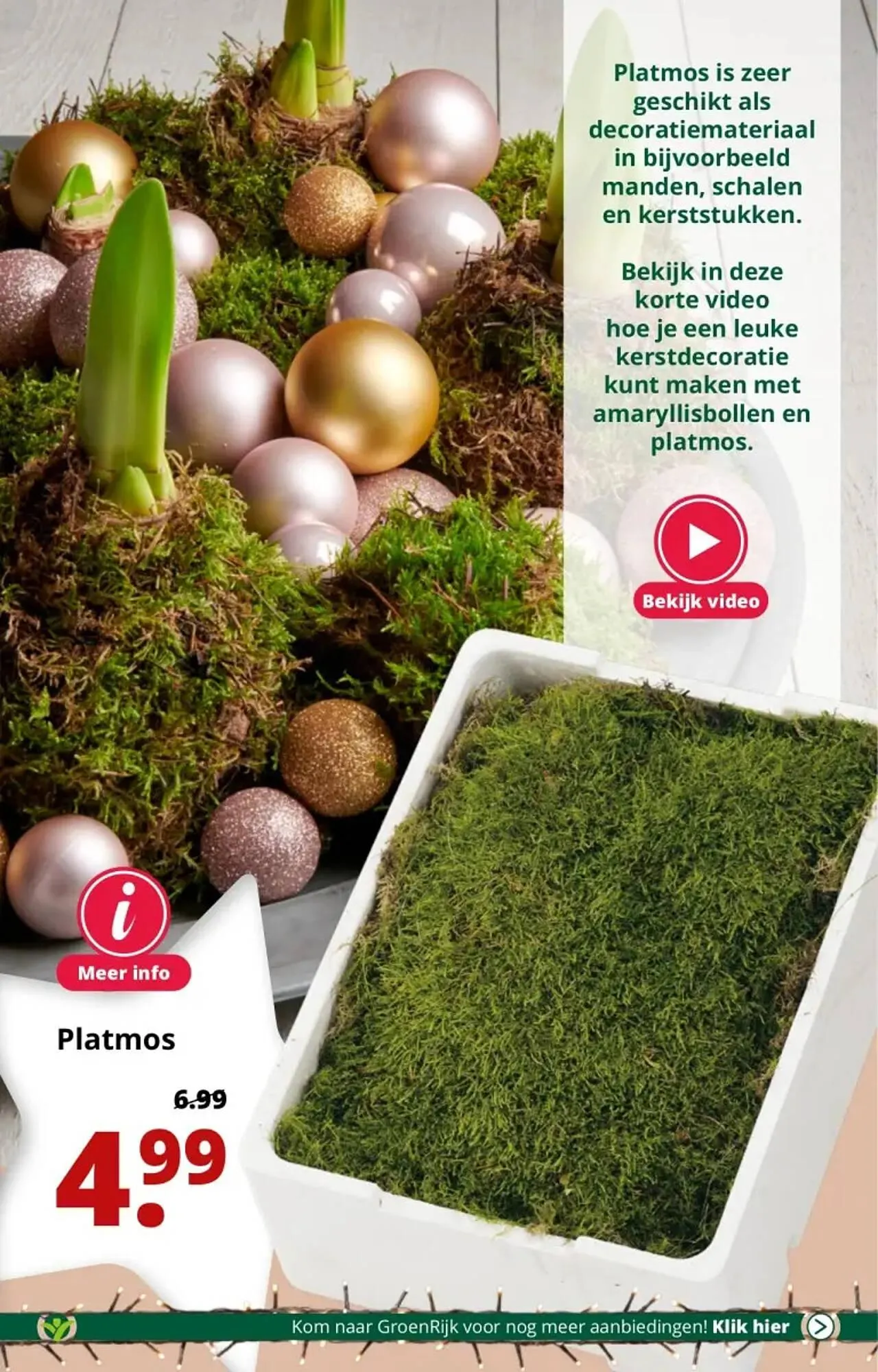 GroenRijk folder van 29 november tot 5 december 2023 - Folder pagina 25