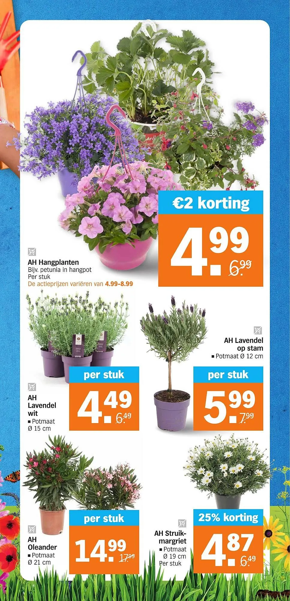 Albert Heijn folder week 16 van 15 april tot 21 april 2024 - Folder pagina 31