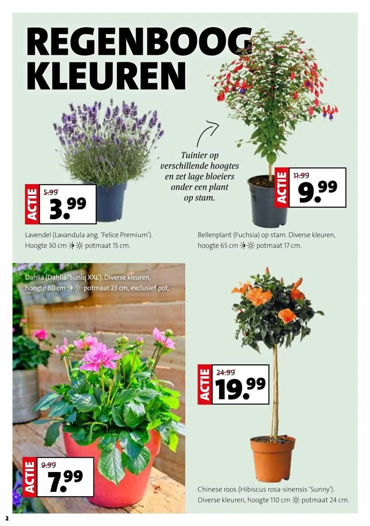 Intratuin folder van 28 april tot 4 mei 2025 - Folder pagina 2