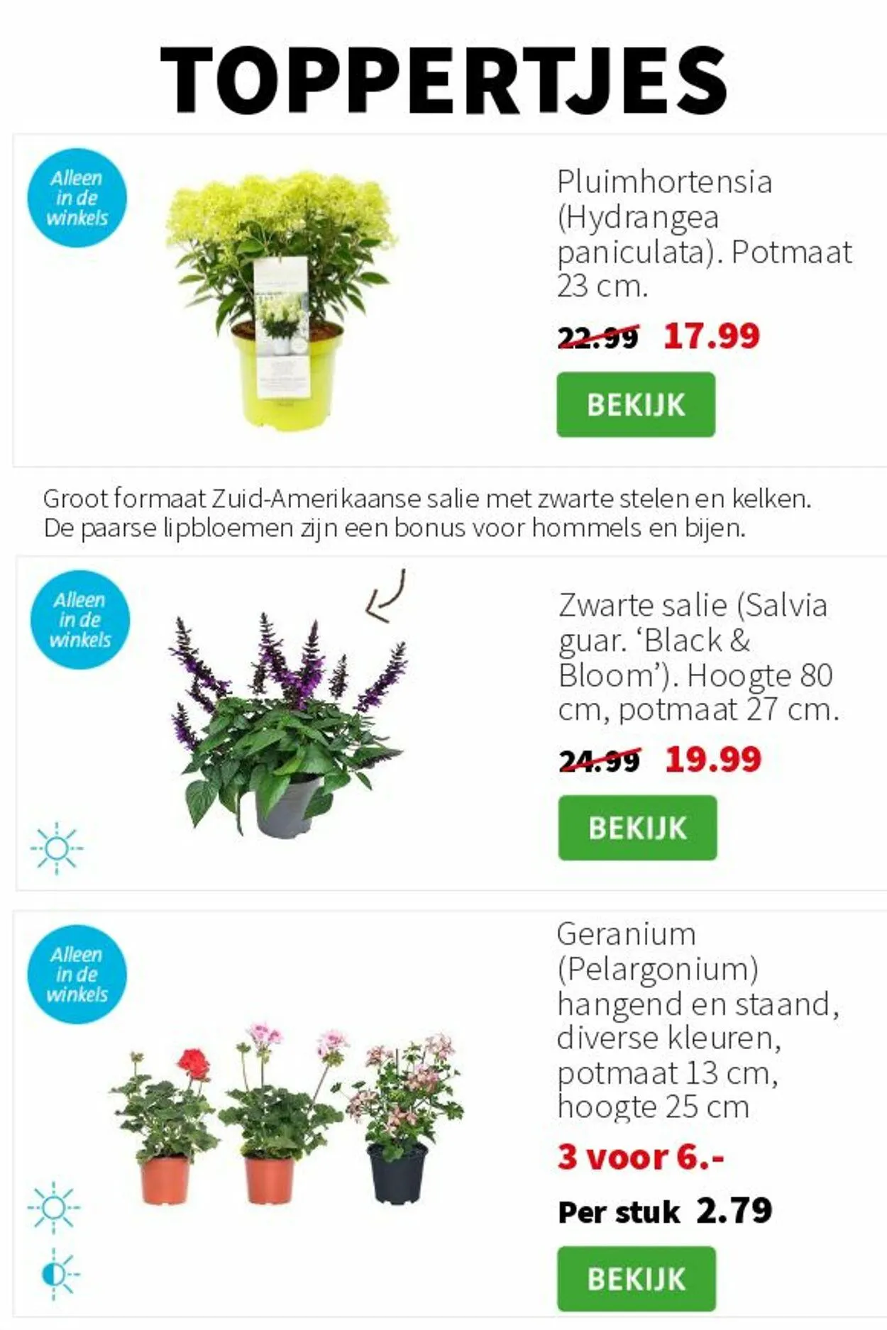 Intratuin Actuele folder van 9 november tot 23 november 2025 - Folder pagina 4