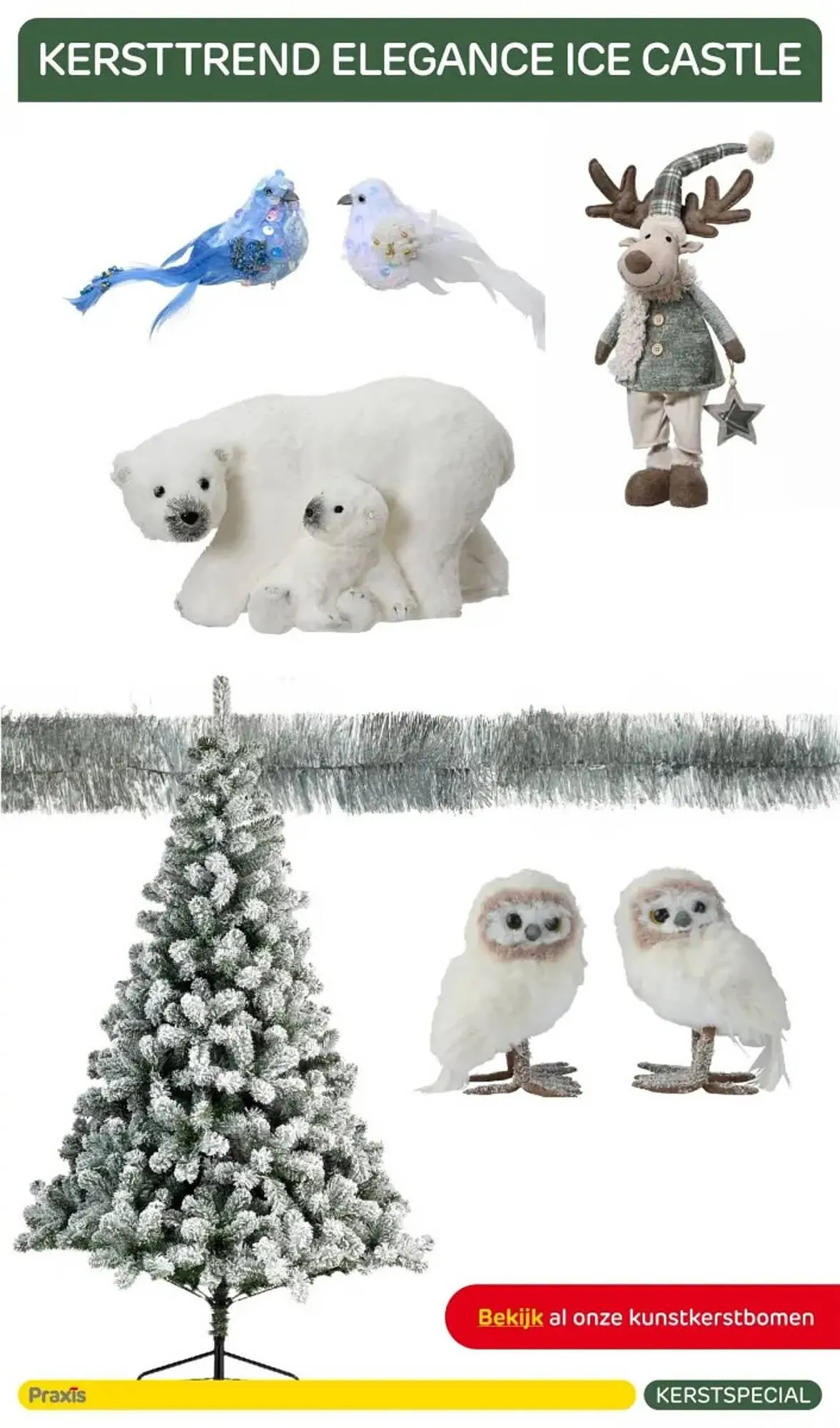 Praxis folder van 19 november tot 31 december 2024 - Folder pagina 11