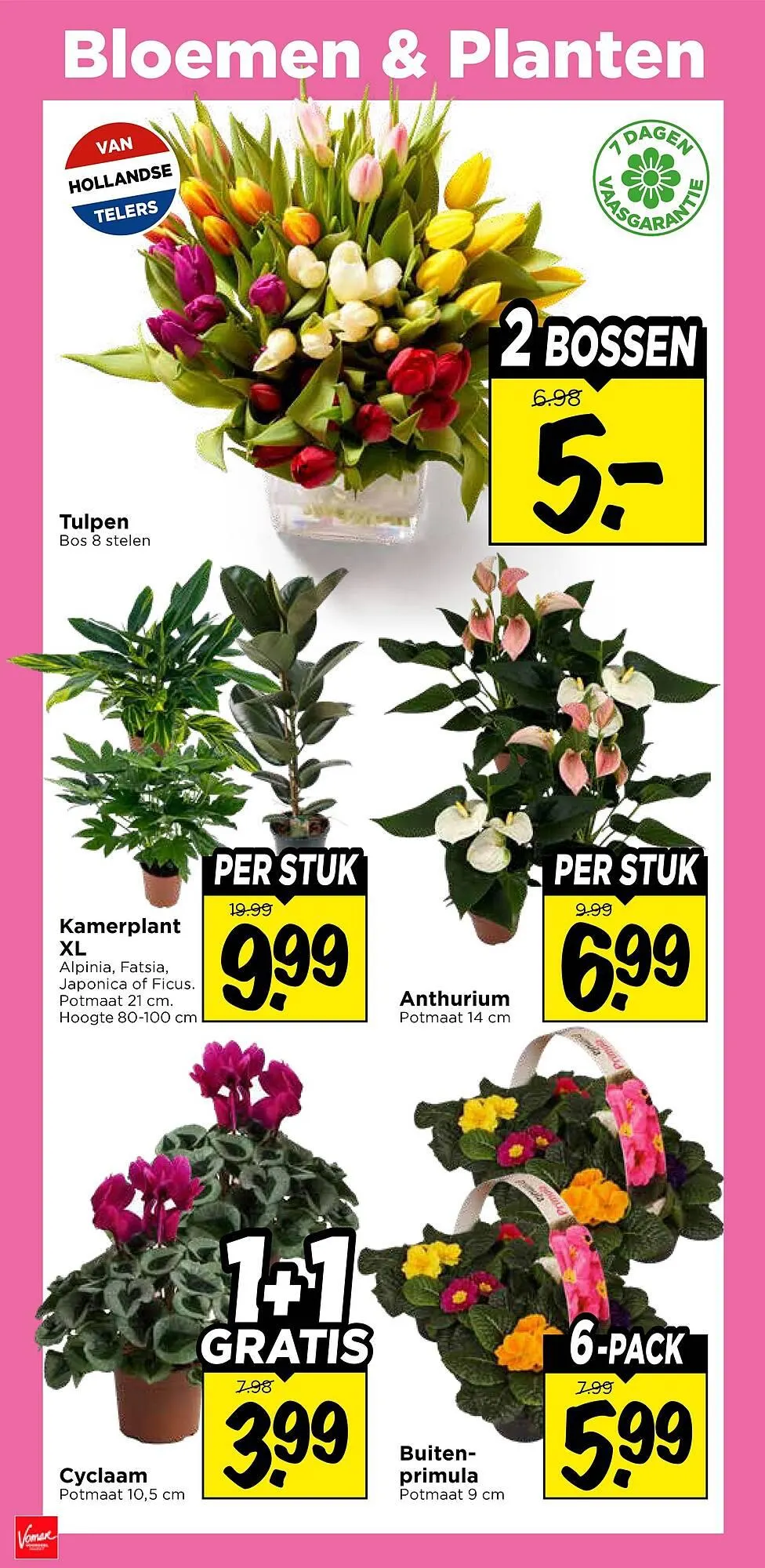 Vomar Voordeelmarkt folder van 11 januari tot 17 januari 2026 - Folder pagina 32