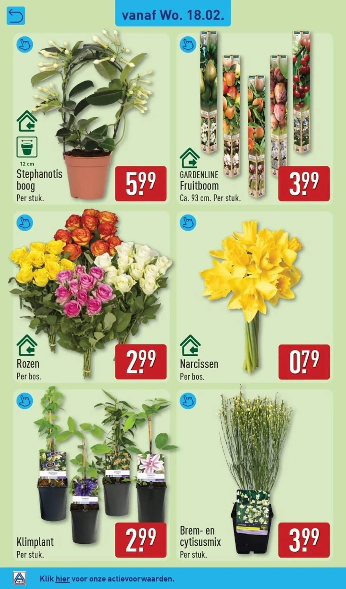 ALDI folder van 16 februari tot 22 februari 2026 - Folder pagina 36