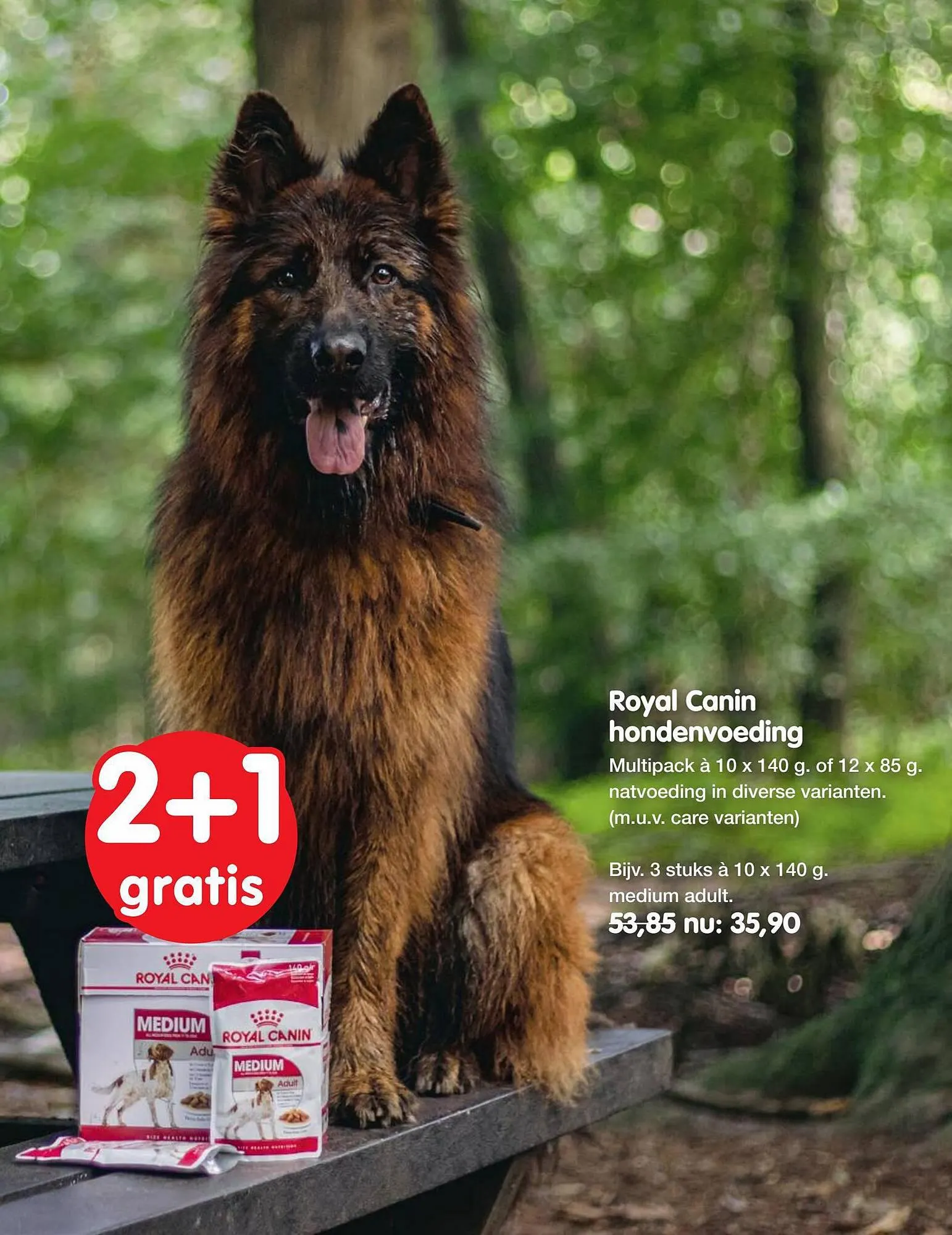 Jumper folder van 19 oktober tot 5 november 2023 - Folder pagina 12