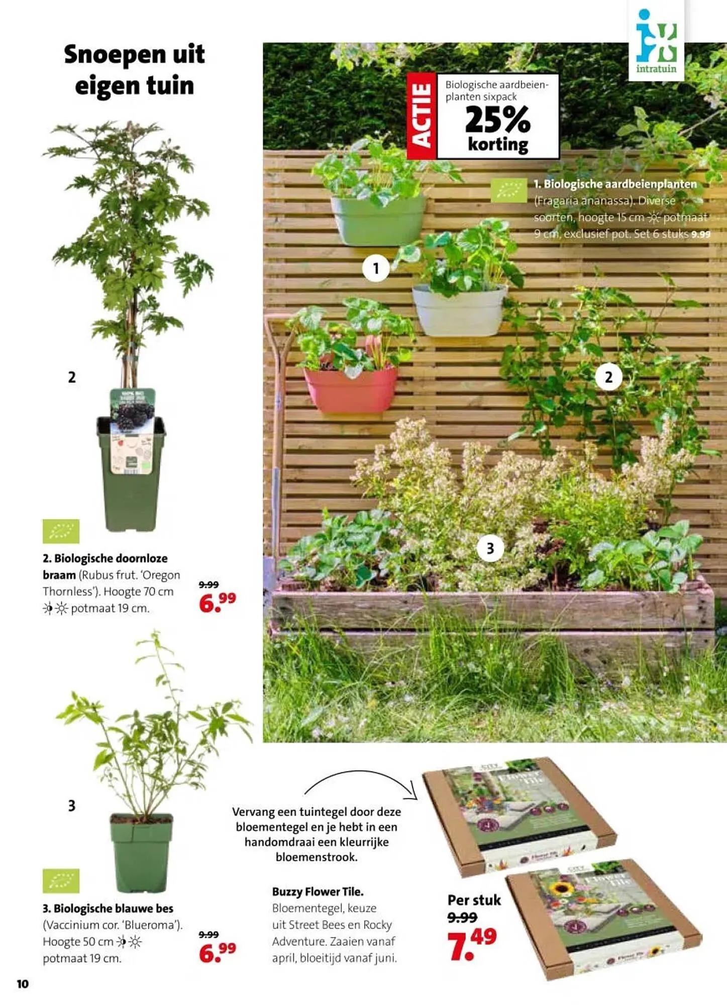 Intratuin folder van 30 maart tot 5 april 2026 - Folder pagina 10