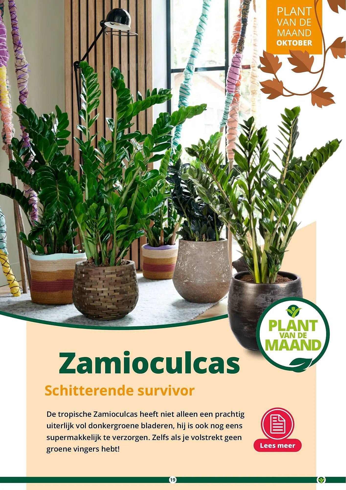 GroenRijk folder van 17 september tot 31 december 2023 - Folder pagina 19