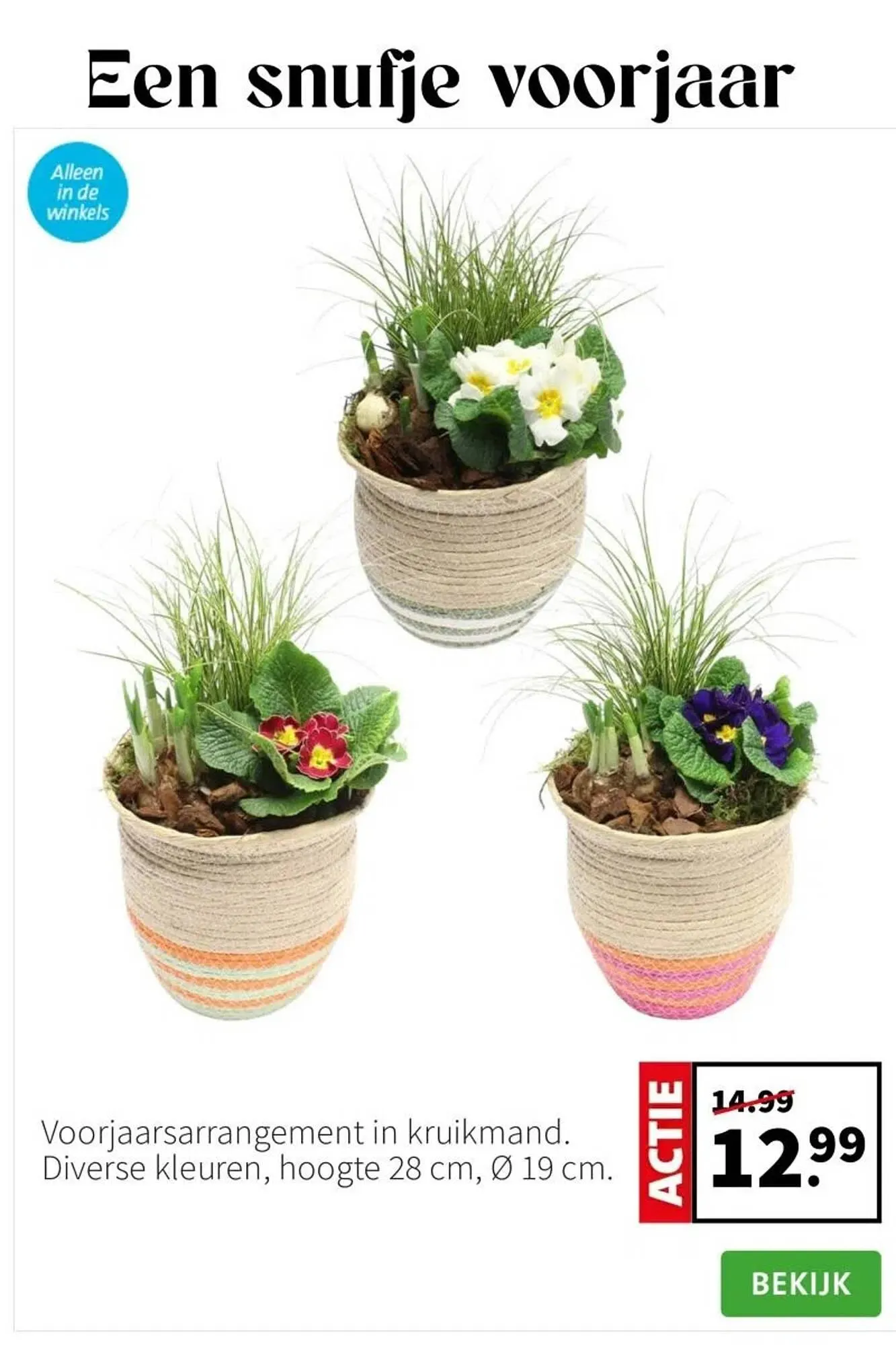 Intratuin folder van 2 februari tot 8 februari 2026 - Folder pagina 4