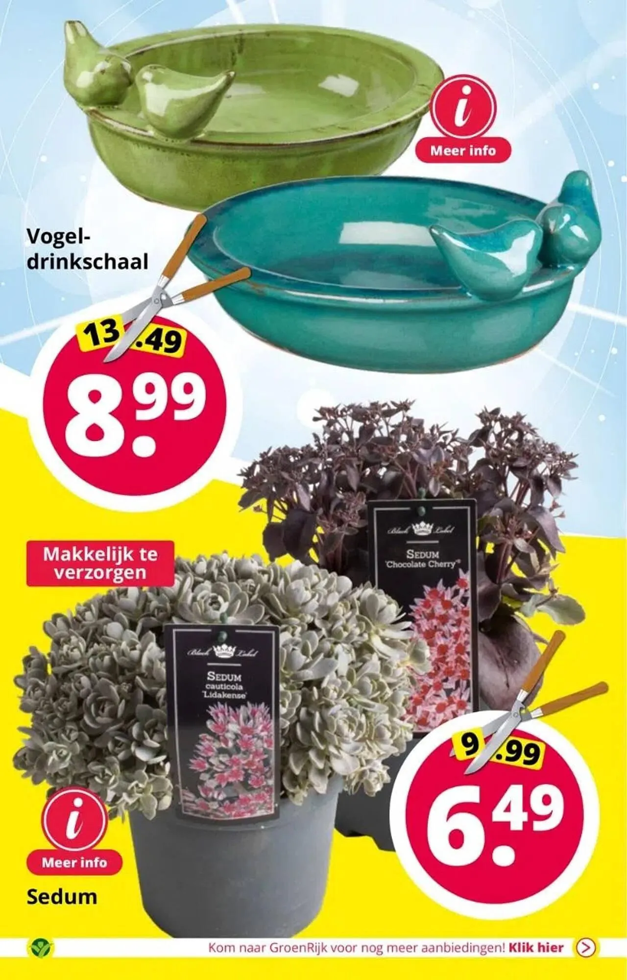 GroenRijk folder van 6 augustus tot 15 augustus 2023 - Folder pagina 11