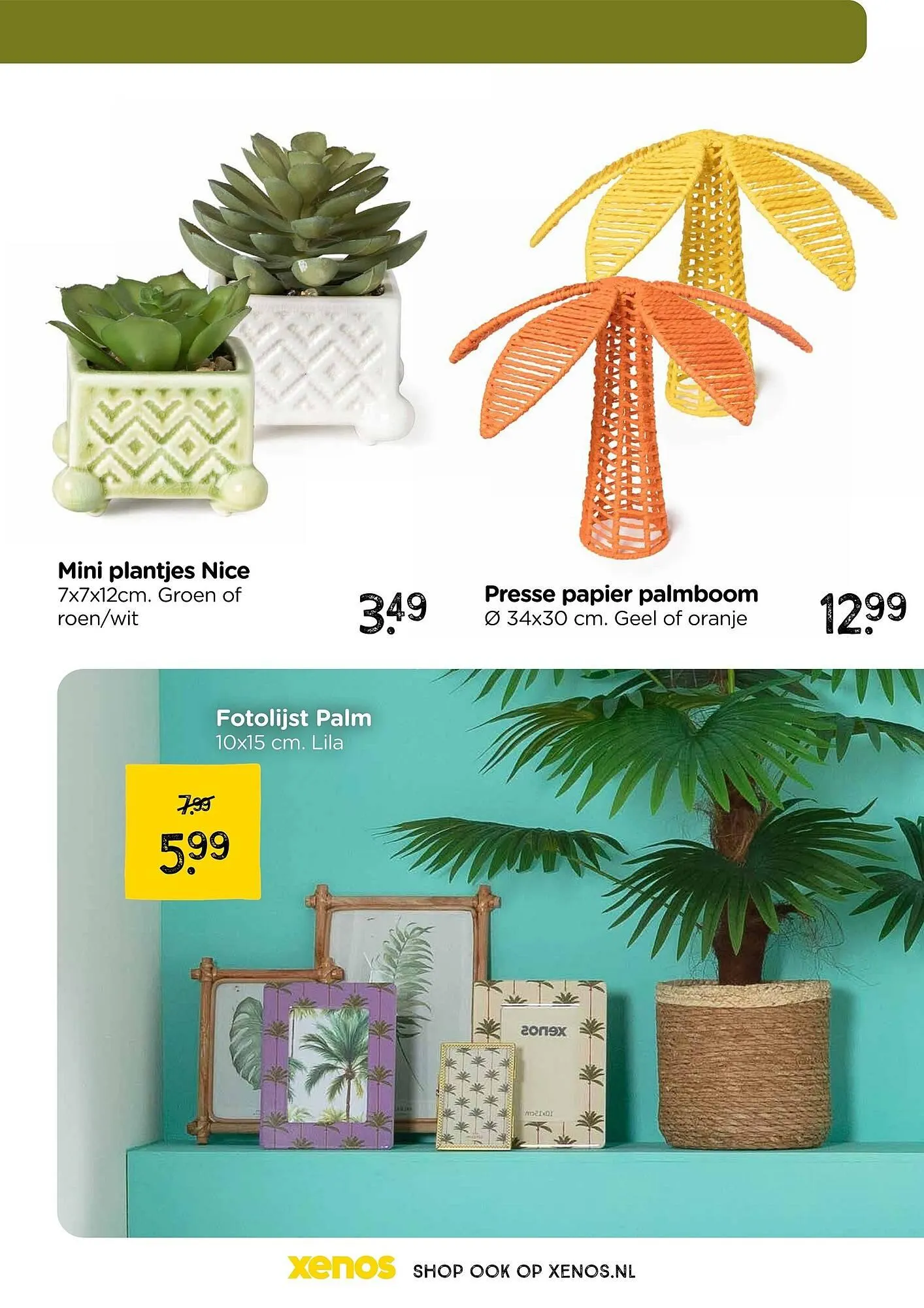 Xenos folder van 9 februari tot 5 april 2025 - Folder pagina 31