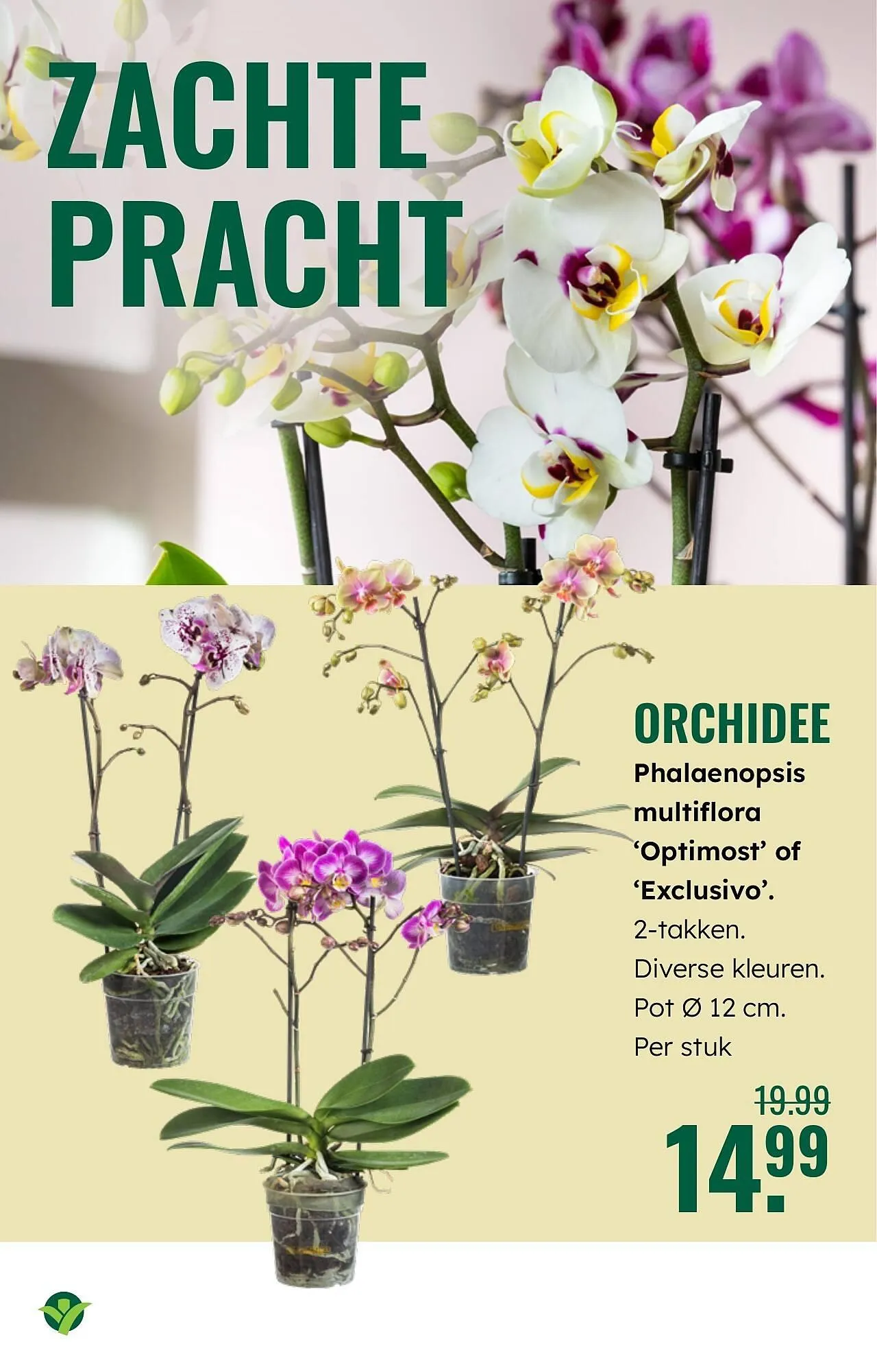 GroenRijk folder van 19 maart tot 25 maart 2026 - Folder pagina 10