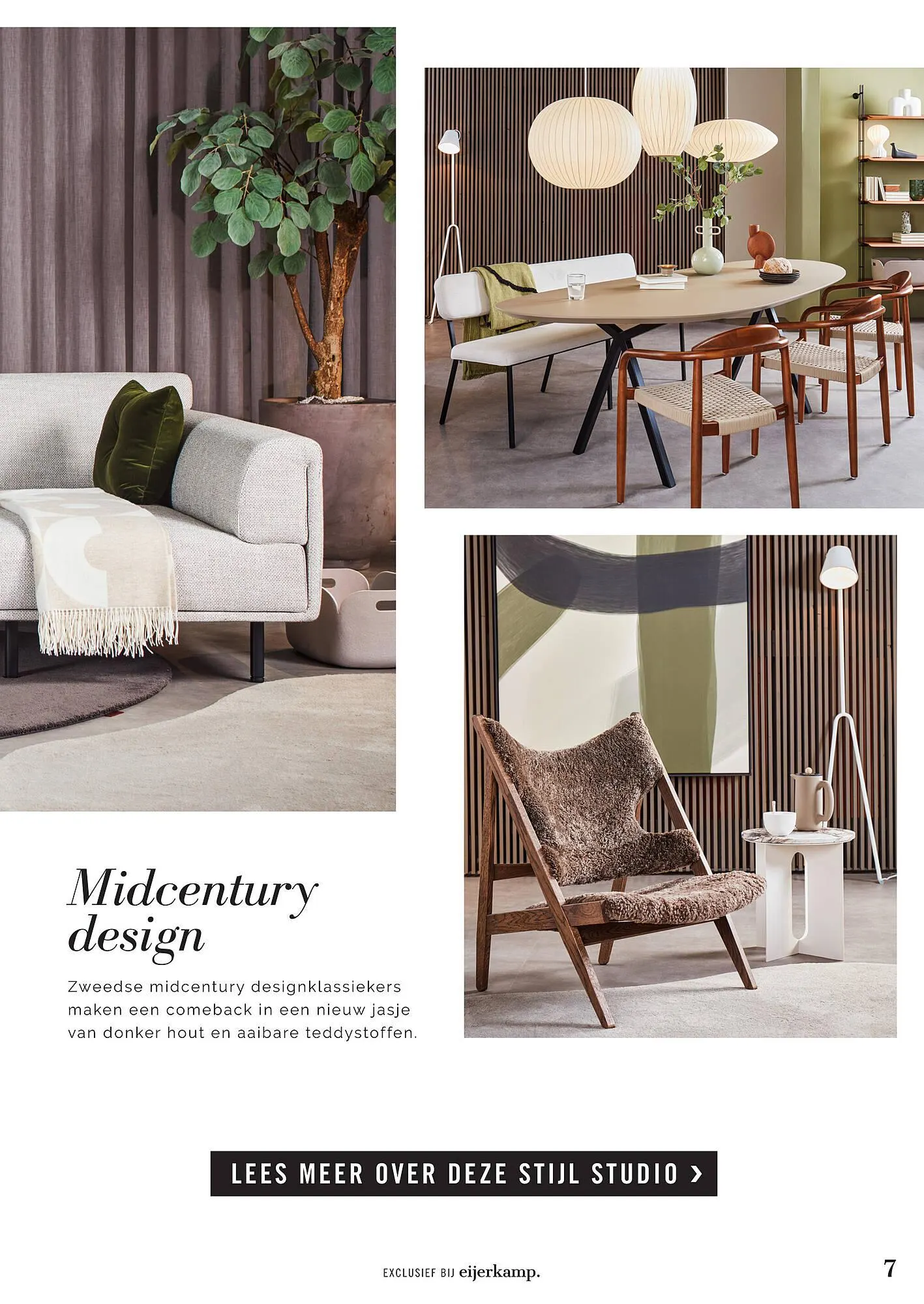 Eijerkamp folder van 26 juli tot 6 augustus 2023 - Folder pagina 7