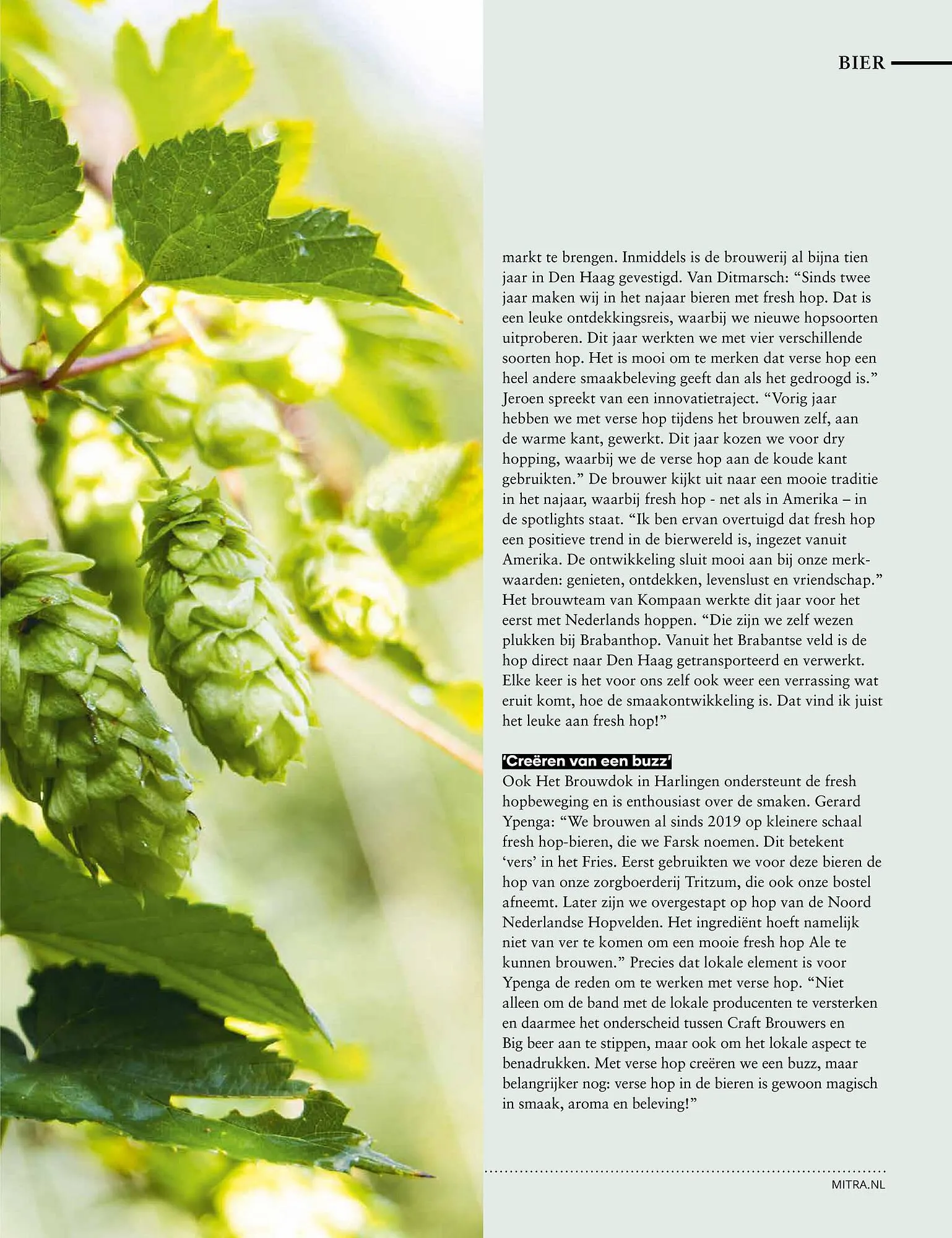 Mitra magazine van 1 december tot 28 februari 2026 - Folder pagina 43