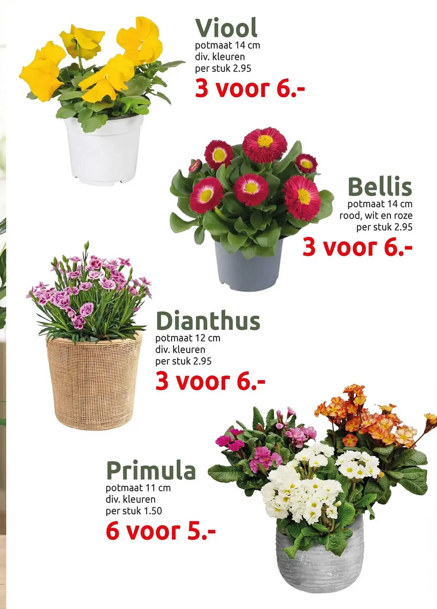 Deka Tuin folder van 2 februari tot 15 februari 2026 - Folder pagina 3