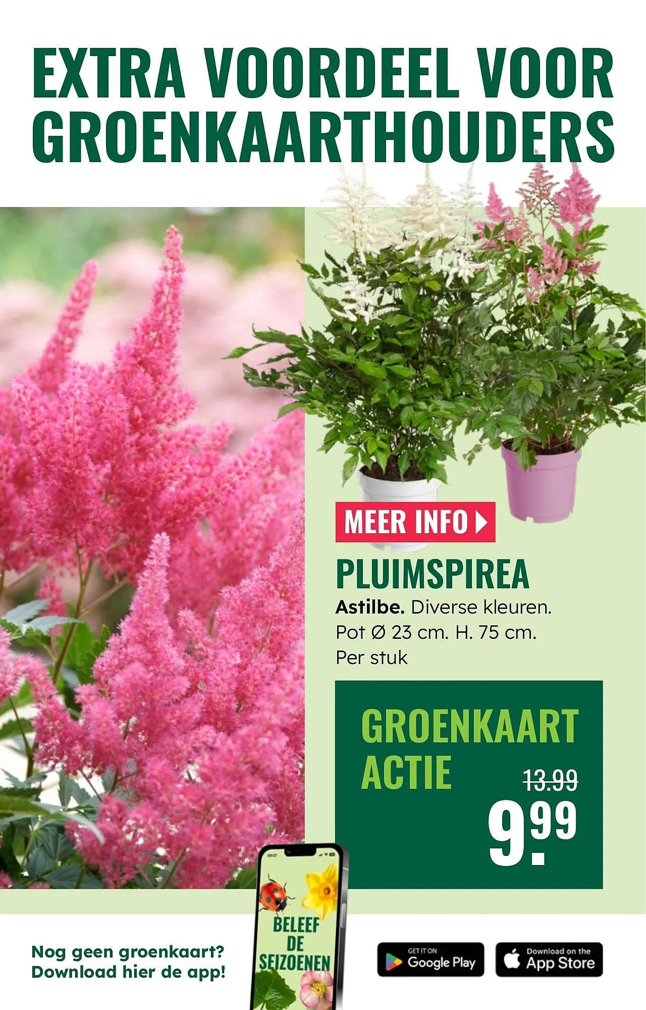 GroenRijk folder van 7 mei tot 13 mei 2026 - Folder pagina 11