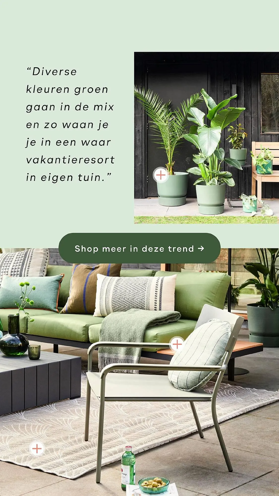 fonQ folder van 28 juni tot 28 juli 2023 - Folder pagina 6