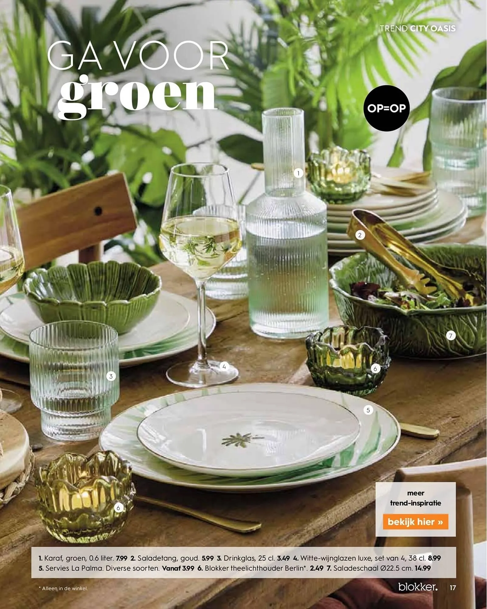 Blokker folder van 9 april tot 10 april 2024 - Folder pagina 17