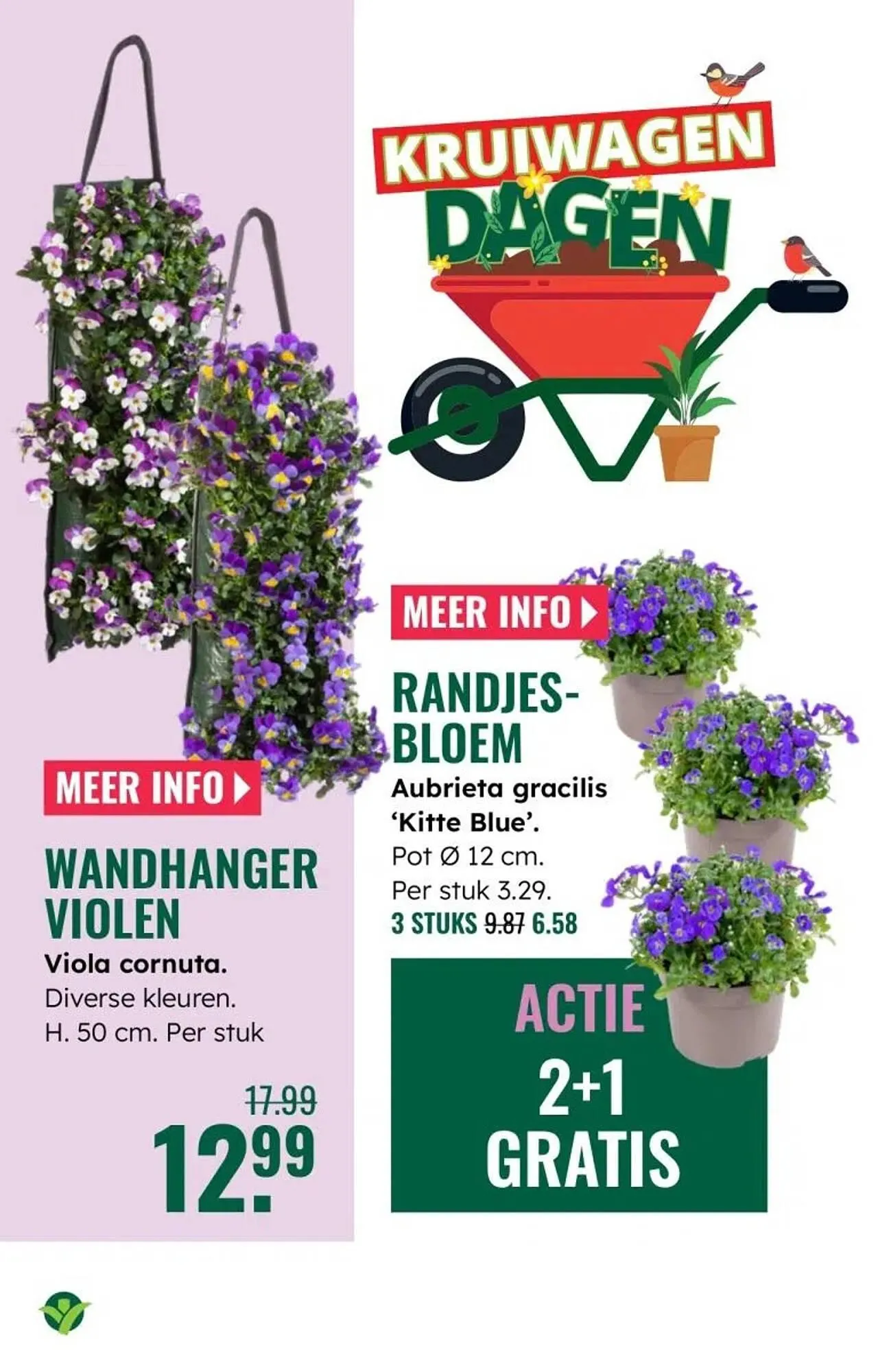 GroenRijk folder van 5 maart tot 11 maart 2026 - Folder pagina 3