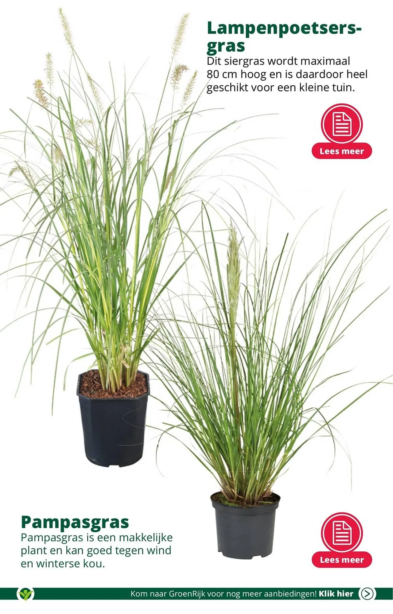 GroenRijk folder van 18 juli tot 25 juli 2023 - Folder pagina 5