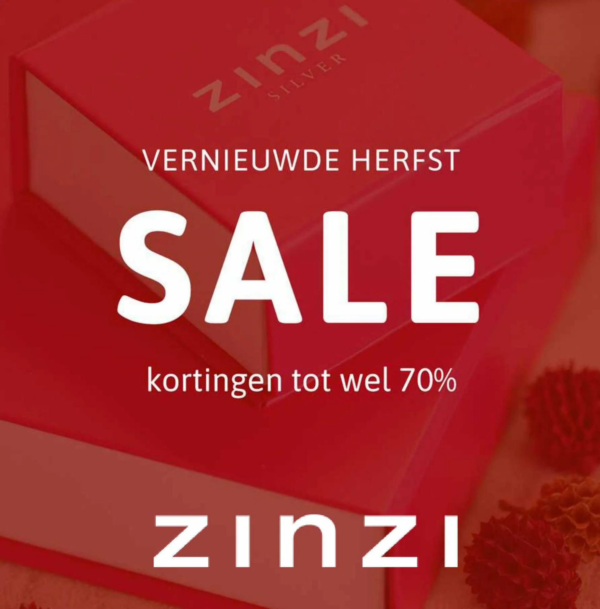 Zinzi Folder van 13 november tot 19 november 2023 - Folder pagina 1