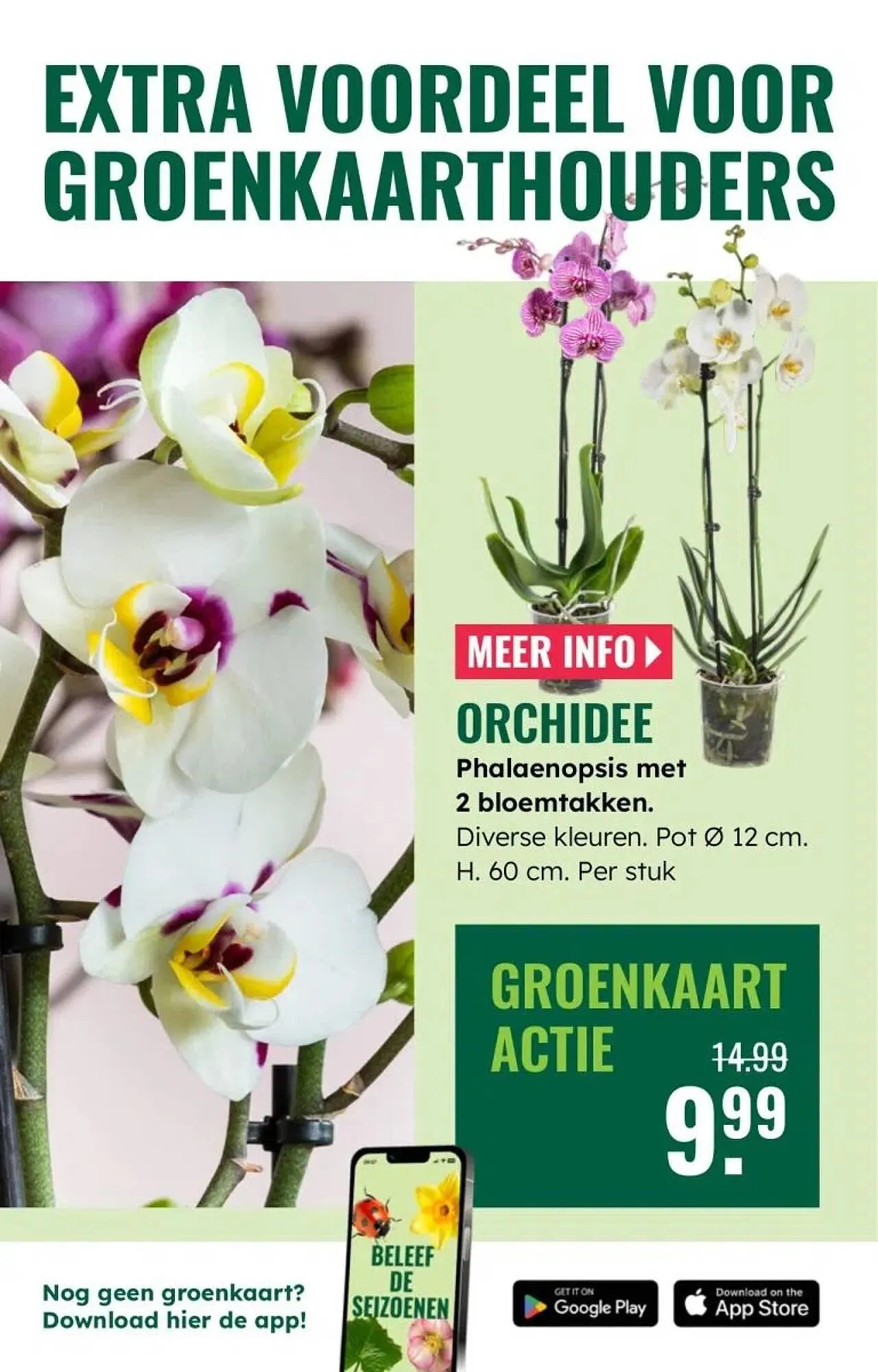 GroenRijk folder van 30 december tot 7 januari 2026 - Folder pagina 17