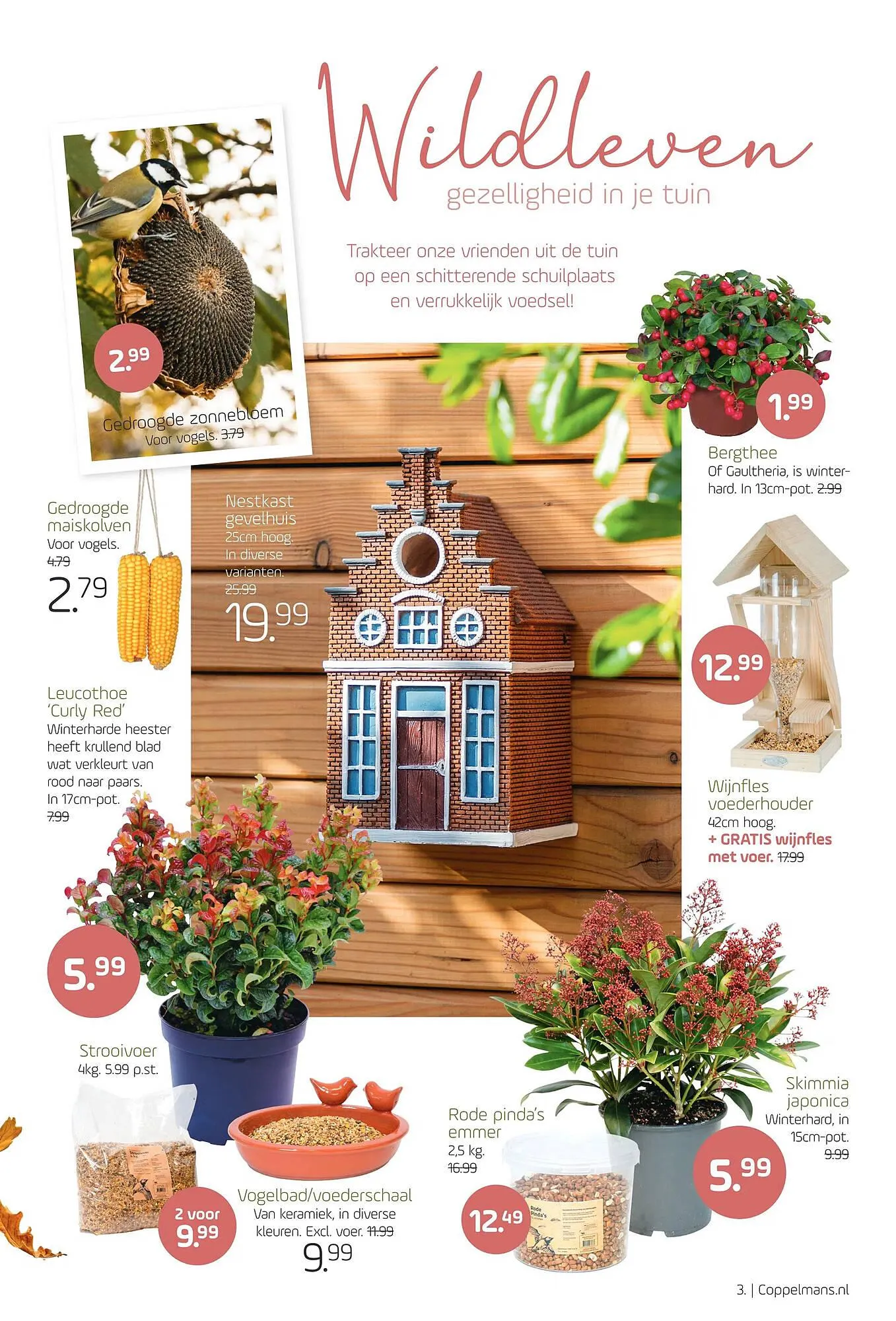 Coppelmans folder van 18 oktober tot 29 oktober 2023 - Folder pagina 3