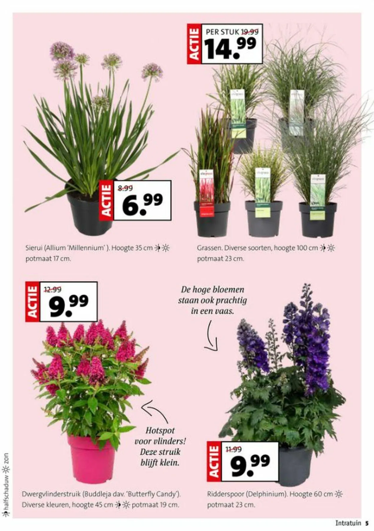 Intratuin Actuele folder van 7 december tot 21 december 2025 - Folder pagina 5