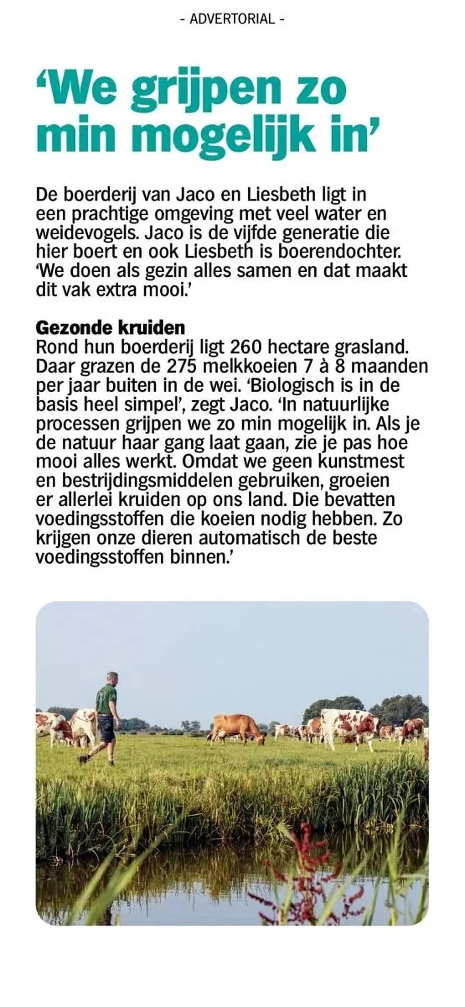 Albert Heijn folder van 8 november tot 7 september 2025 - Folder pagina 43