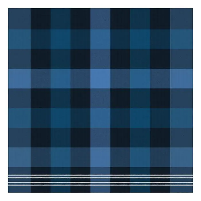 DDDDD Theedoek Feller 60x65cm - blue - set van 6