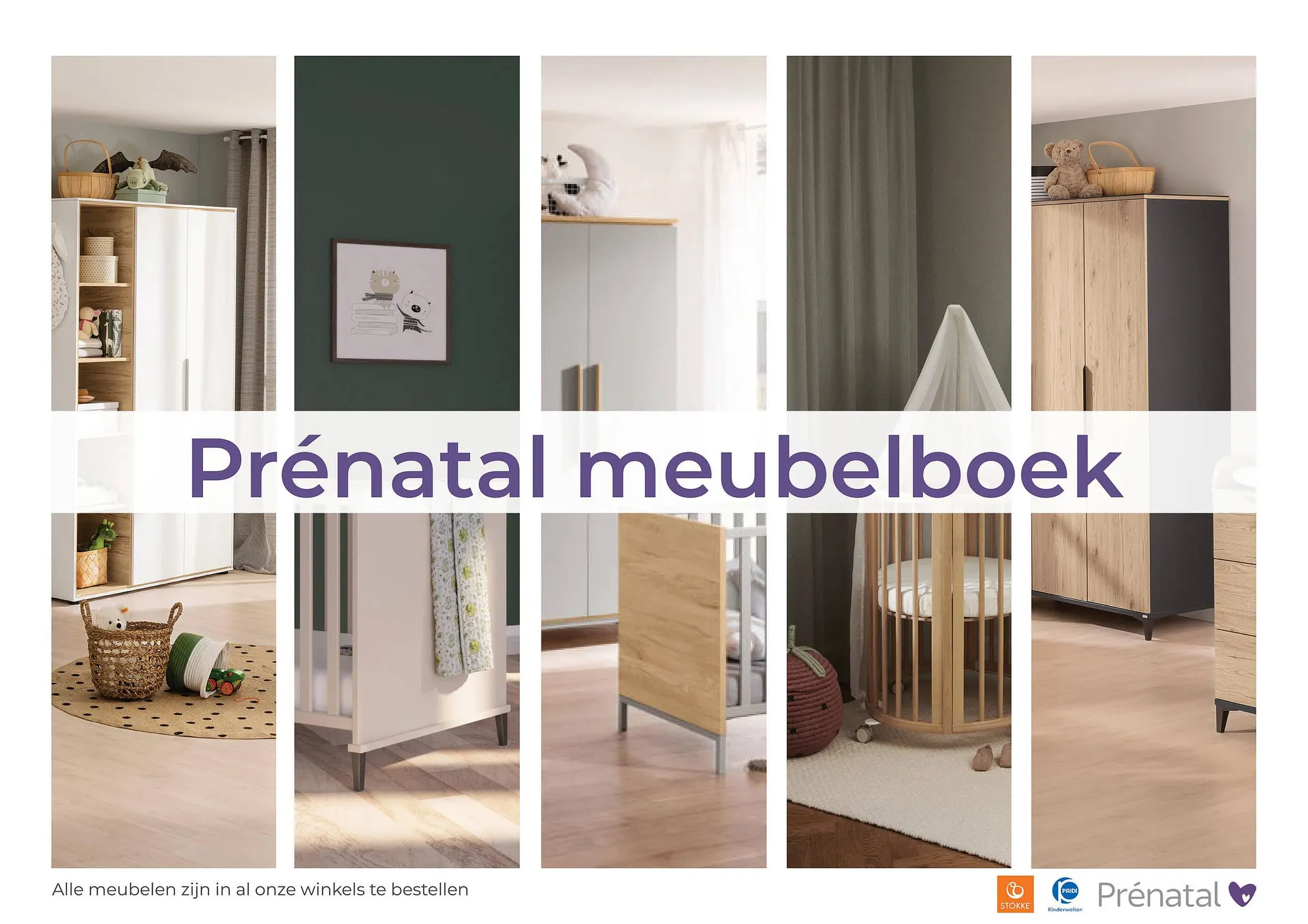 Prenatal folder - 1