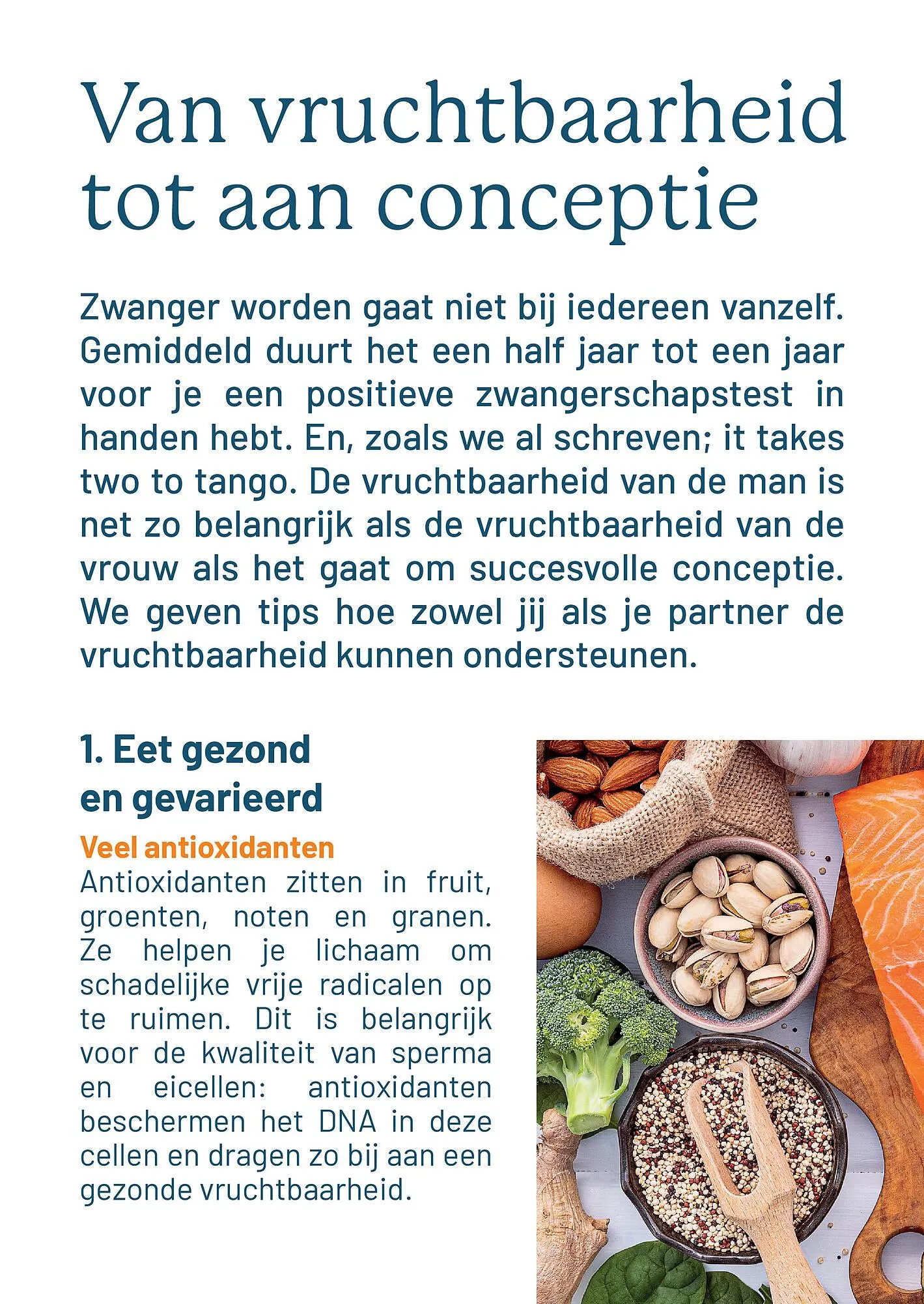 Vitaminstore folder van 8 december tot 31 januari 2026 - Folder pagina 10