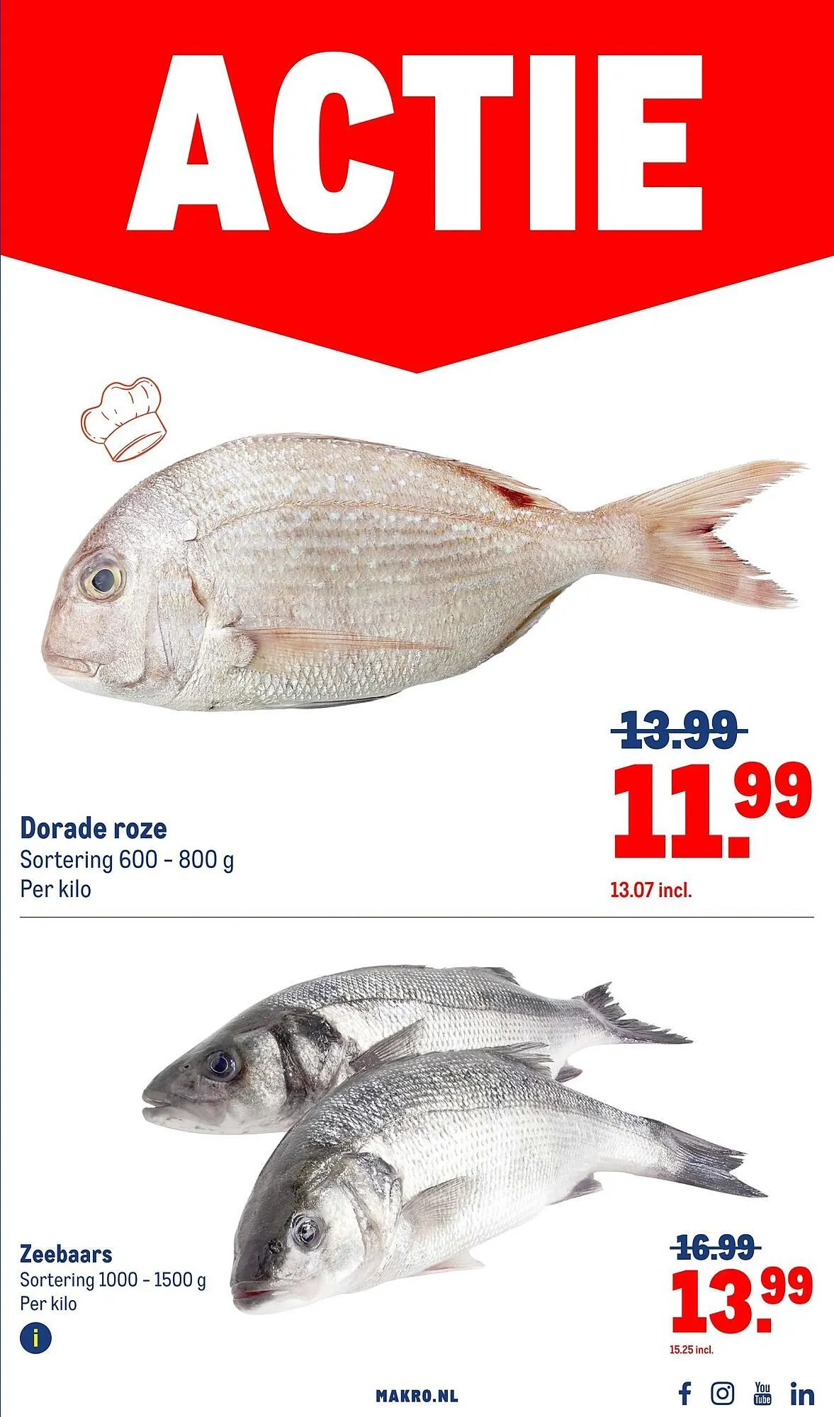 Makro folder van 2 juli tot 29 juli 2025 - Folder pagina 13