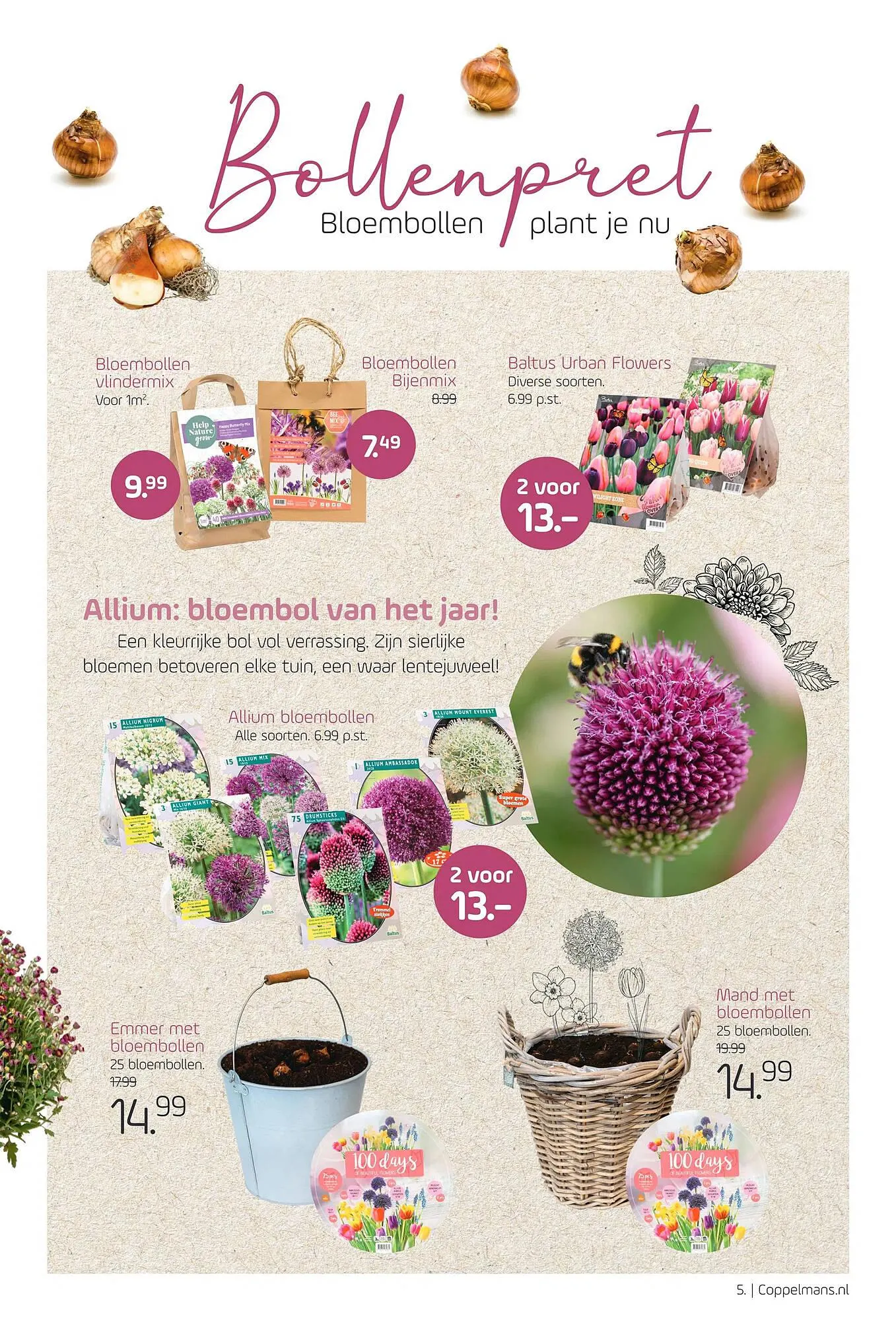 Coppelmans folder van 18 oktober tot 29 oktober 2023 - Folder pagina 5