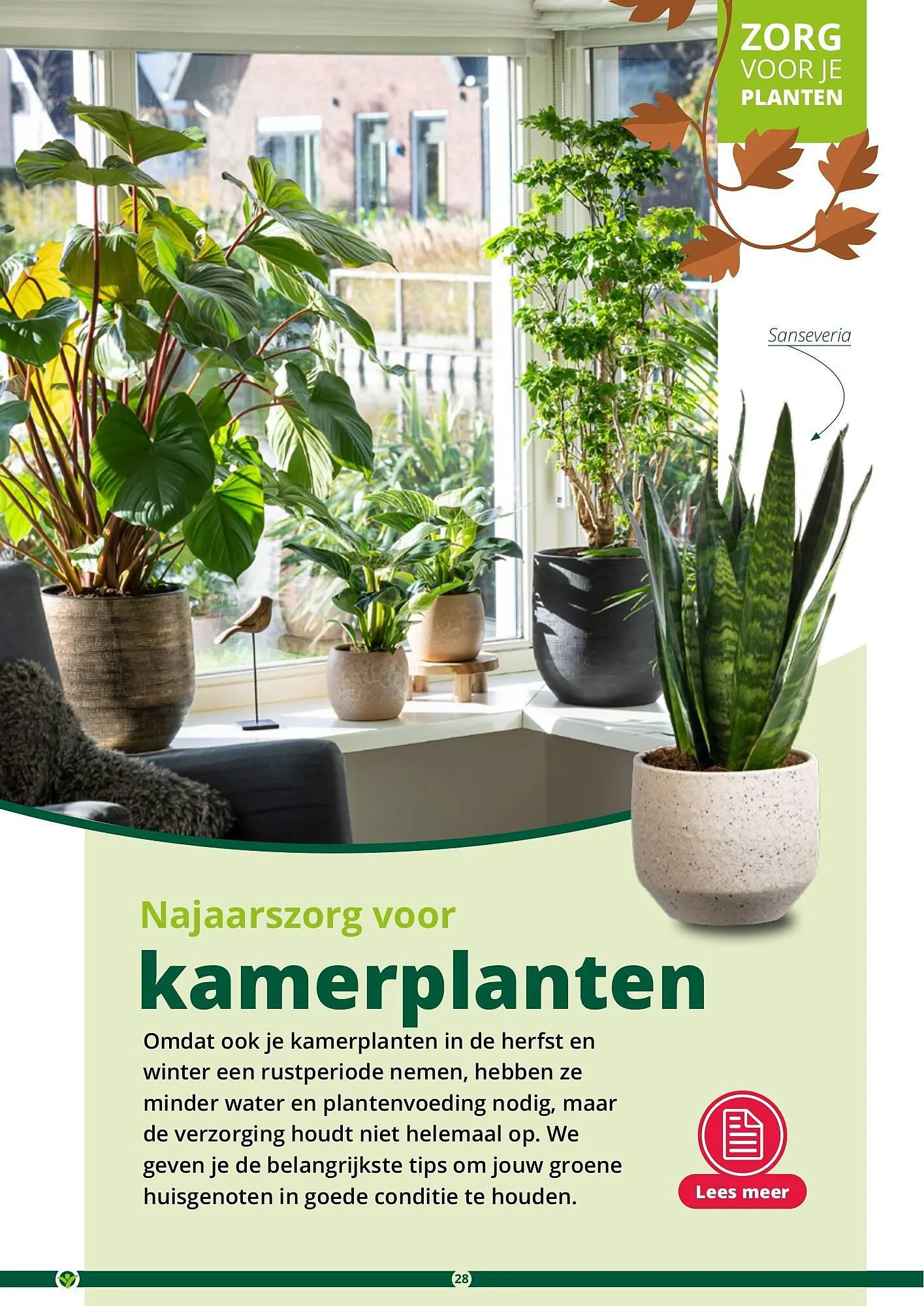 GroenRijk folder van 17 september tot 31 december 2023 - Folder pagina 28