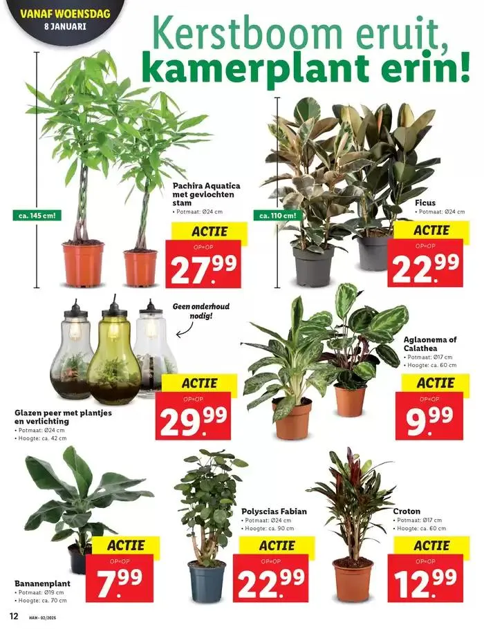 Actuele speciale acties van 2 januari tot 15 januari 2025 - Folder pagina 12