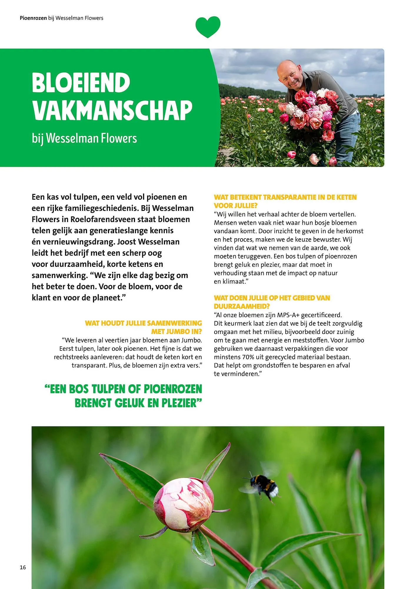 Jumbo folder van 30 juni tot 7 juli 2025 - Folder pagina 16