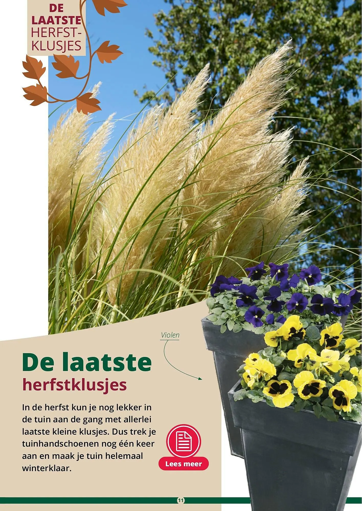 GroenRijk folder van 17 september tot 31 december 2023 - Folder pagina 11