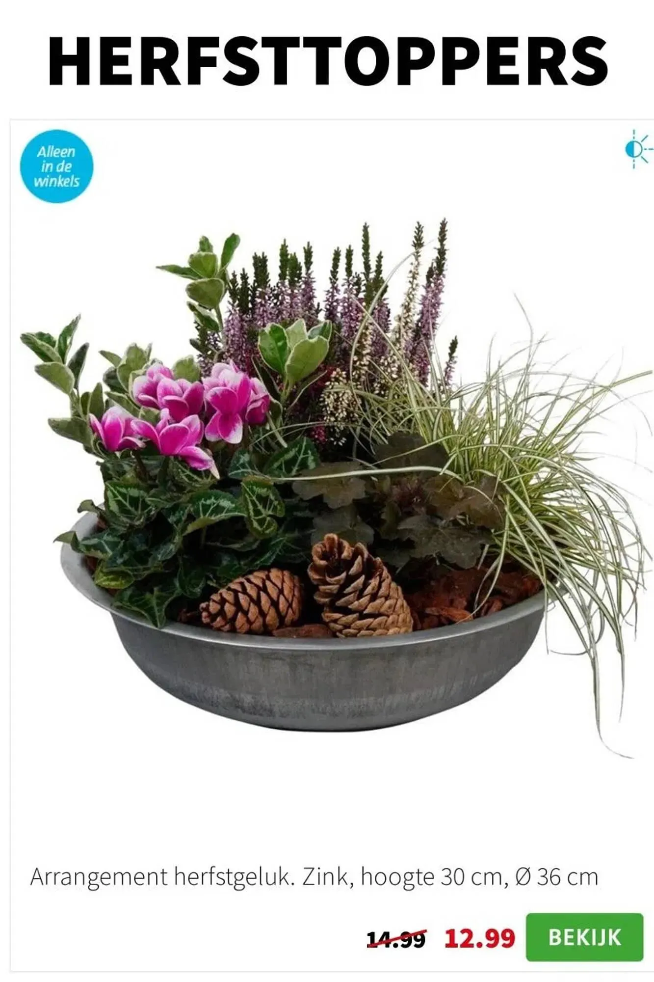 Intratuin folder van 2 september tot 8 september 2024 - Folder pagina 3