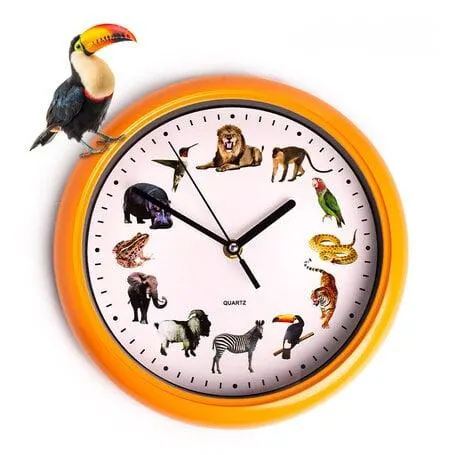 Birdsong Klok - Elk uur een prachtig vogelgeluid!