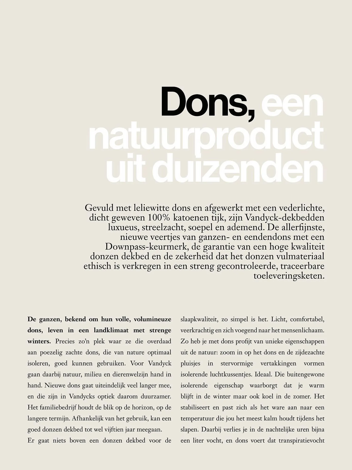 Van Dyck shop folder van 1 februari tot 31 december 2023 - Folder pagina 16