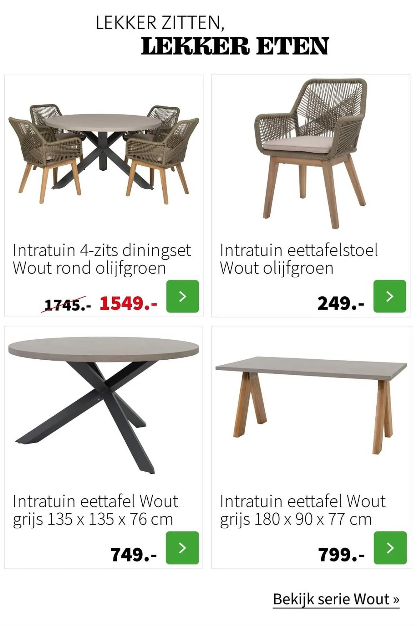 Intratuin folder van 22 maart tot 13 augustus 2023 - Folder pagina 31