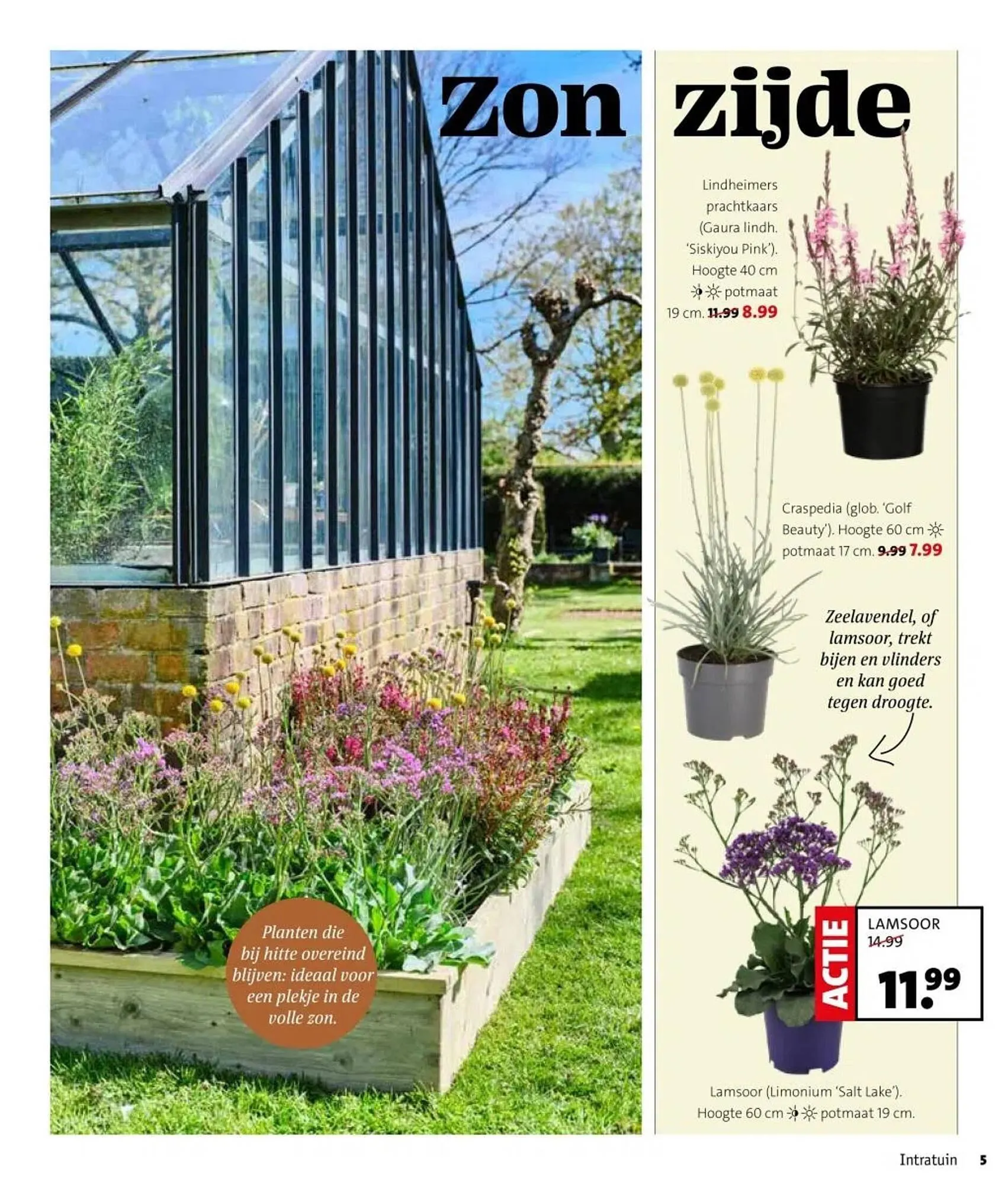 Intratuin folder van 31 maart tot 6 april 2025 - Folder pagina 5